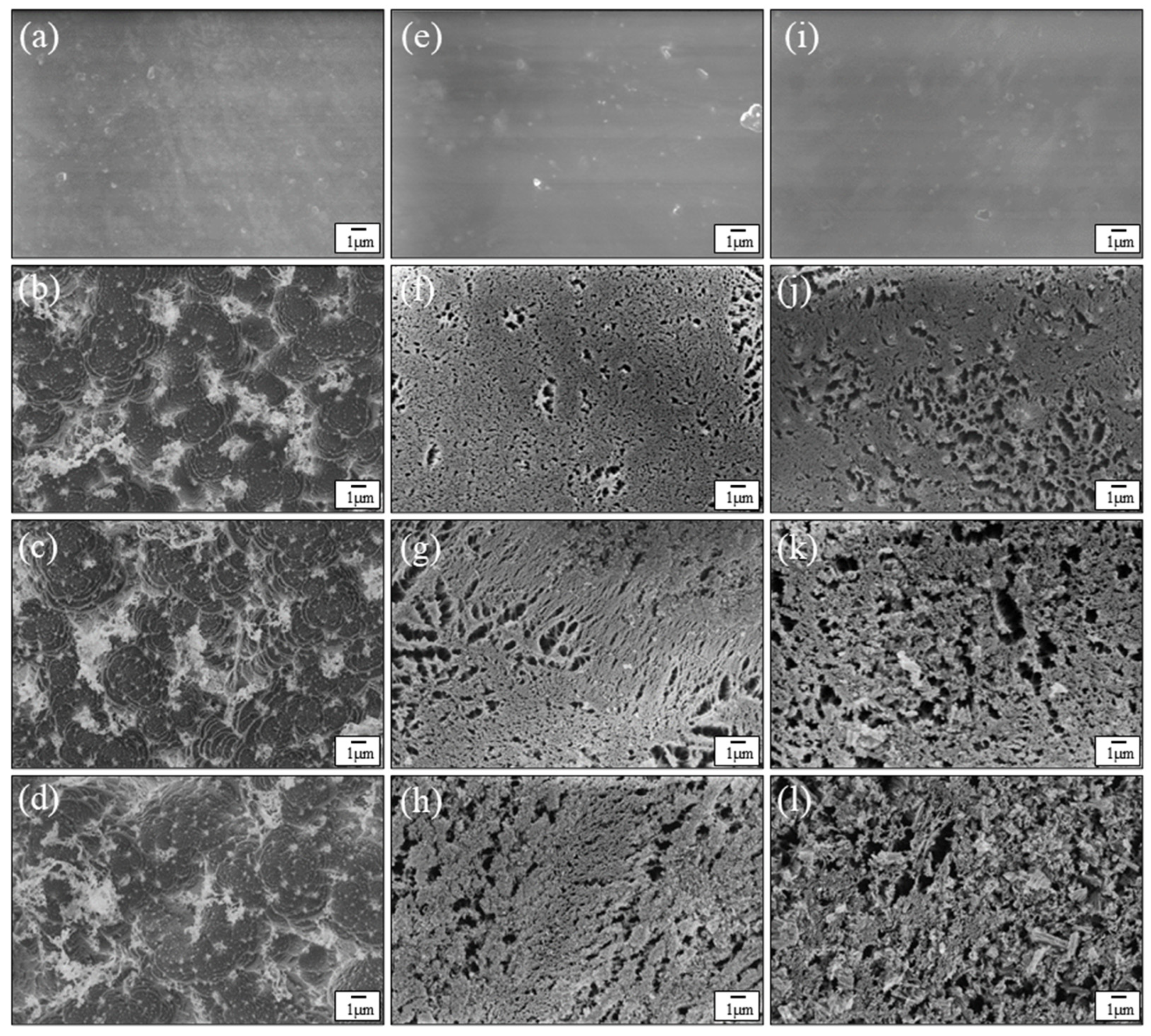 Nanomaterials 12 00257 g006