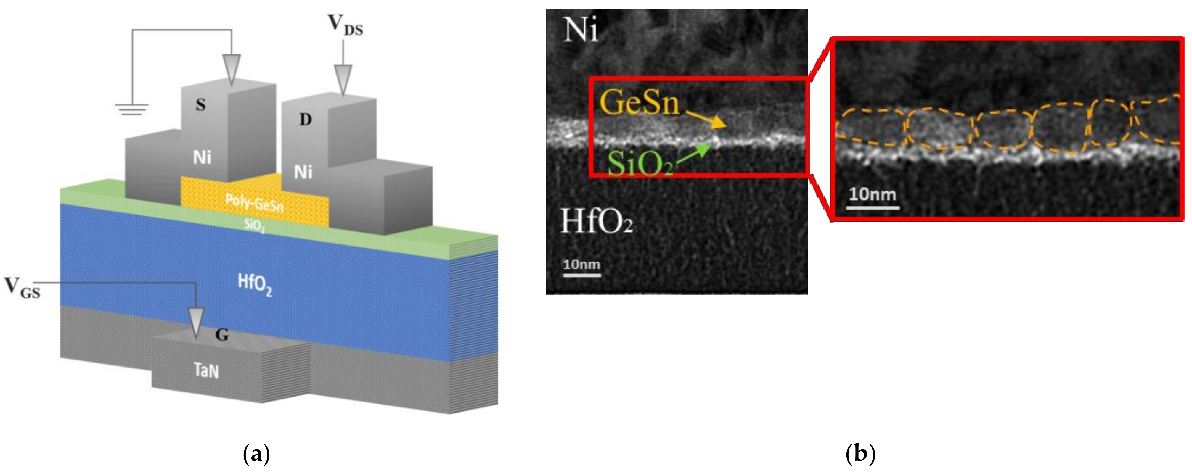 Nanomaterials 12 00261 g003