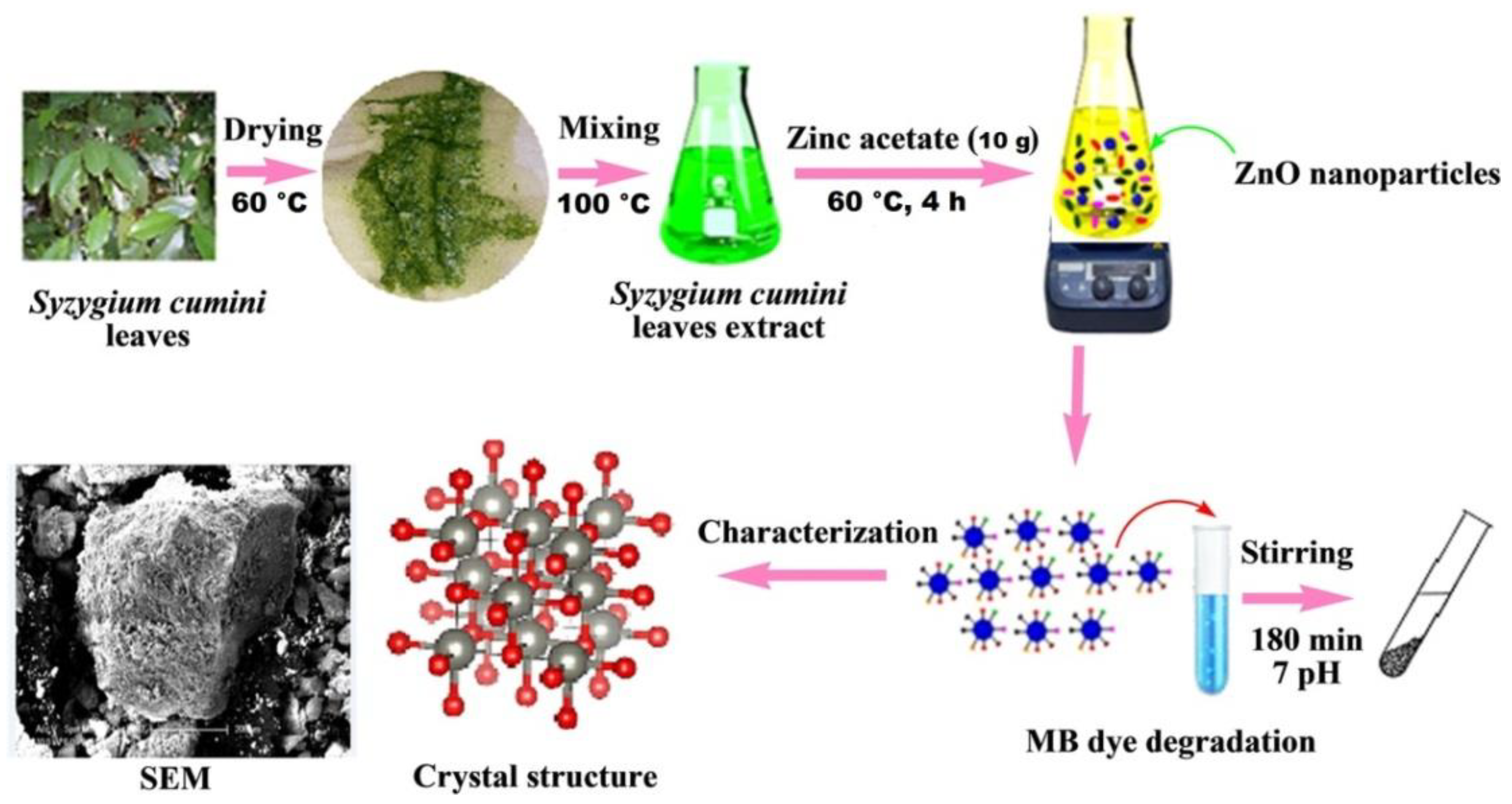 Nanomaterials 12 00263 g007 550
