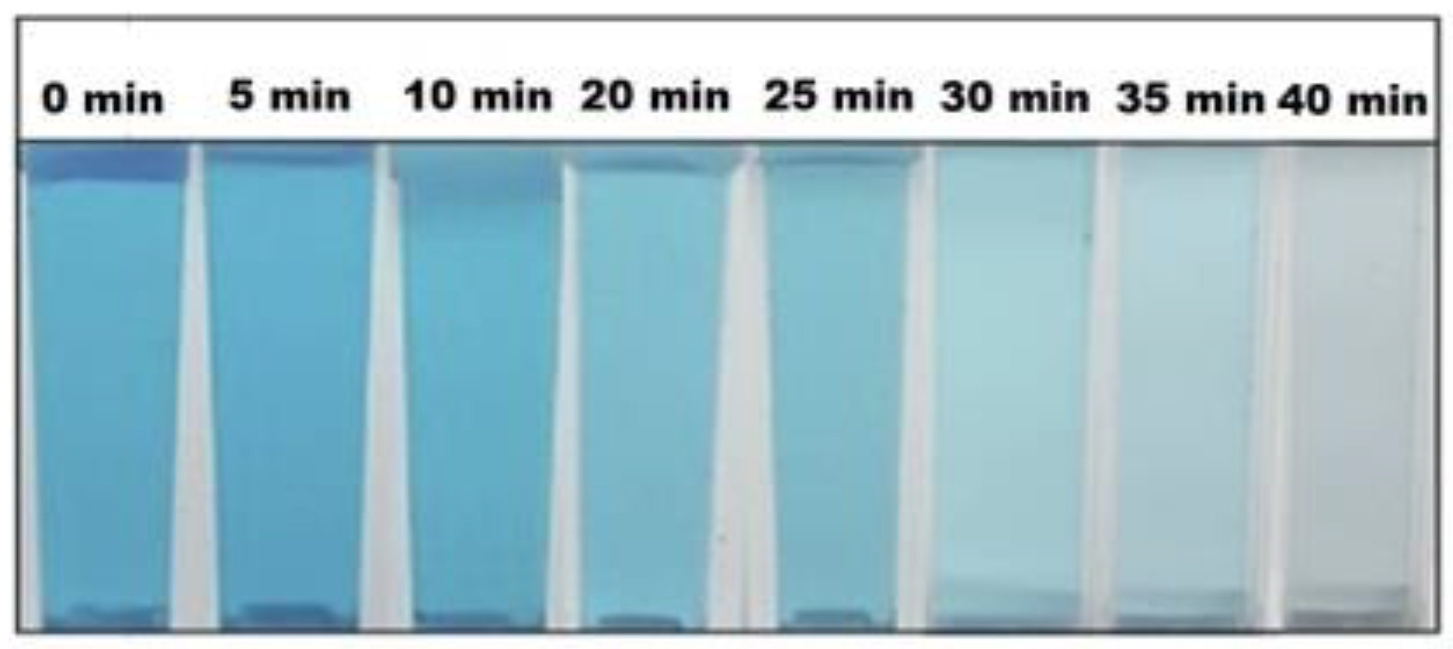 Nanomaterials 12 00263 g008 550