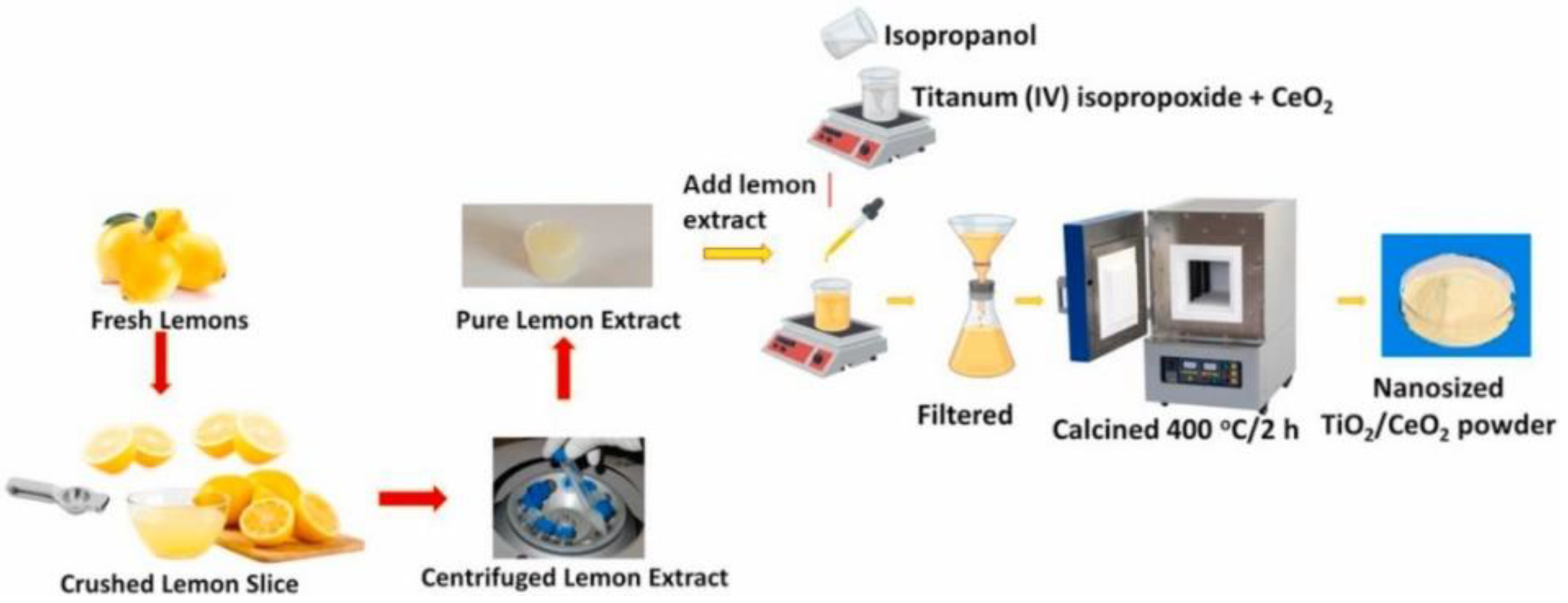 Nanomaterials 12 00263 g010 550