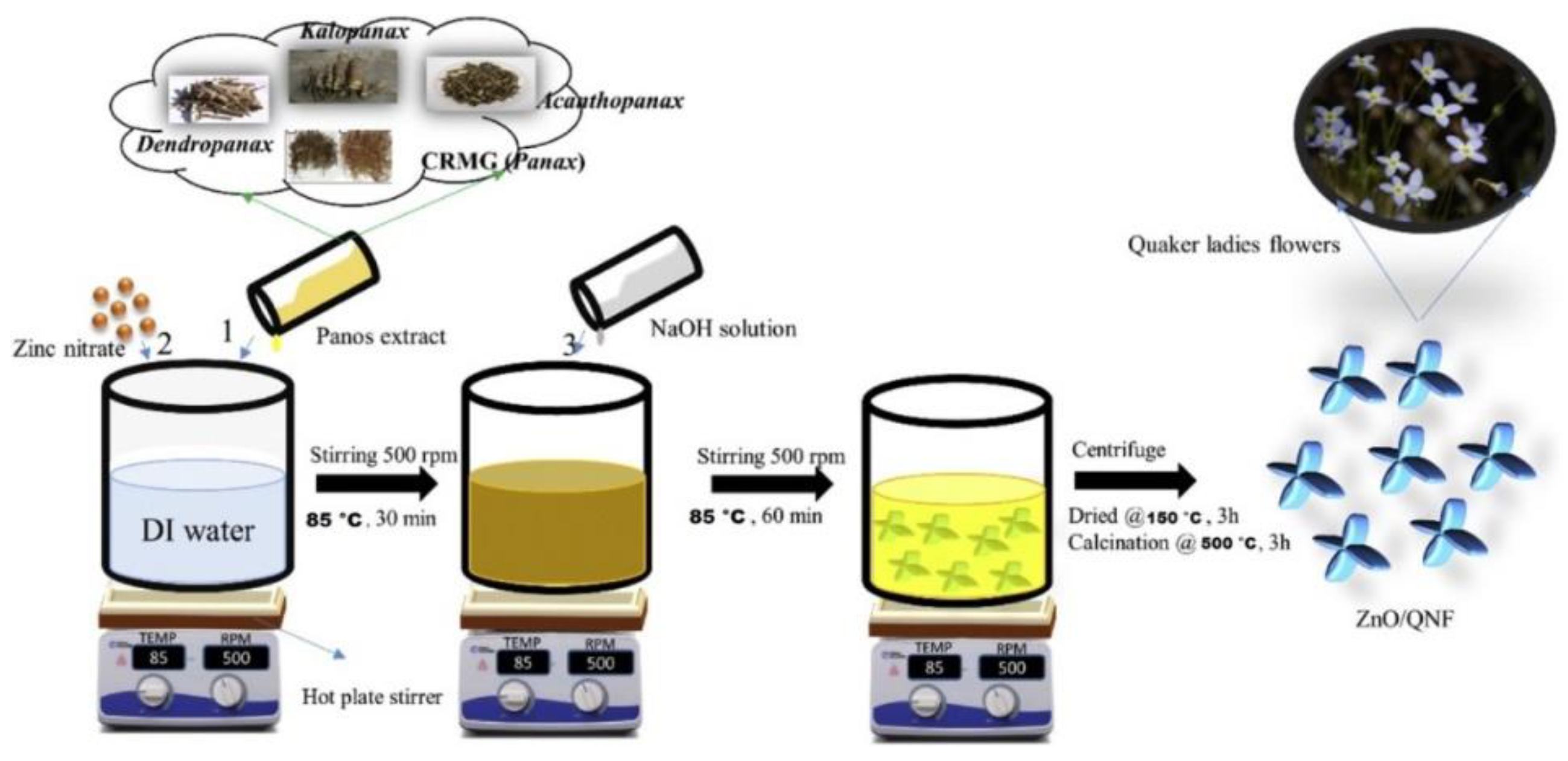 Nanomaterials 12 00263 g011 550