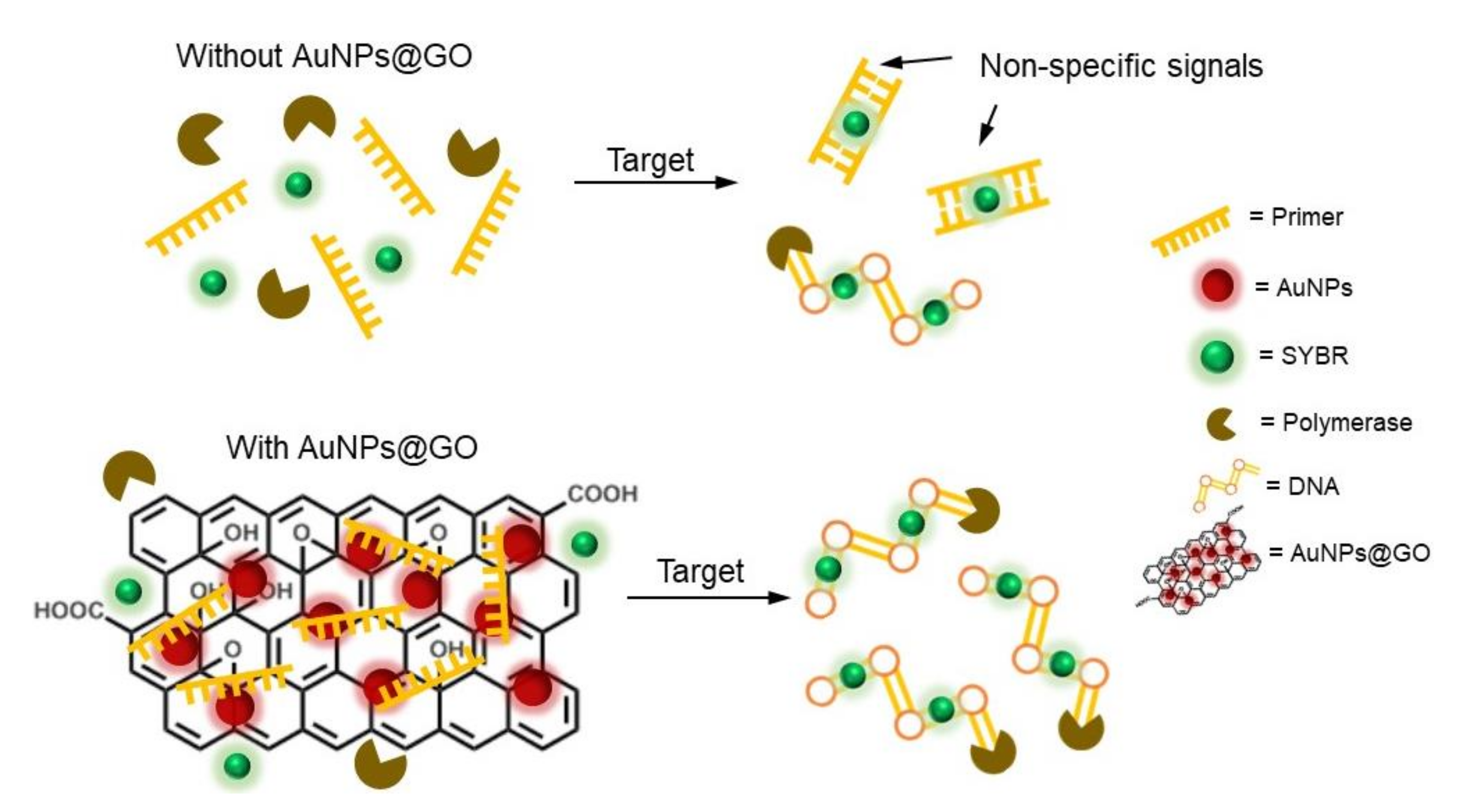 Nanomaterials 12 00264 g007