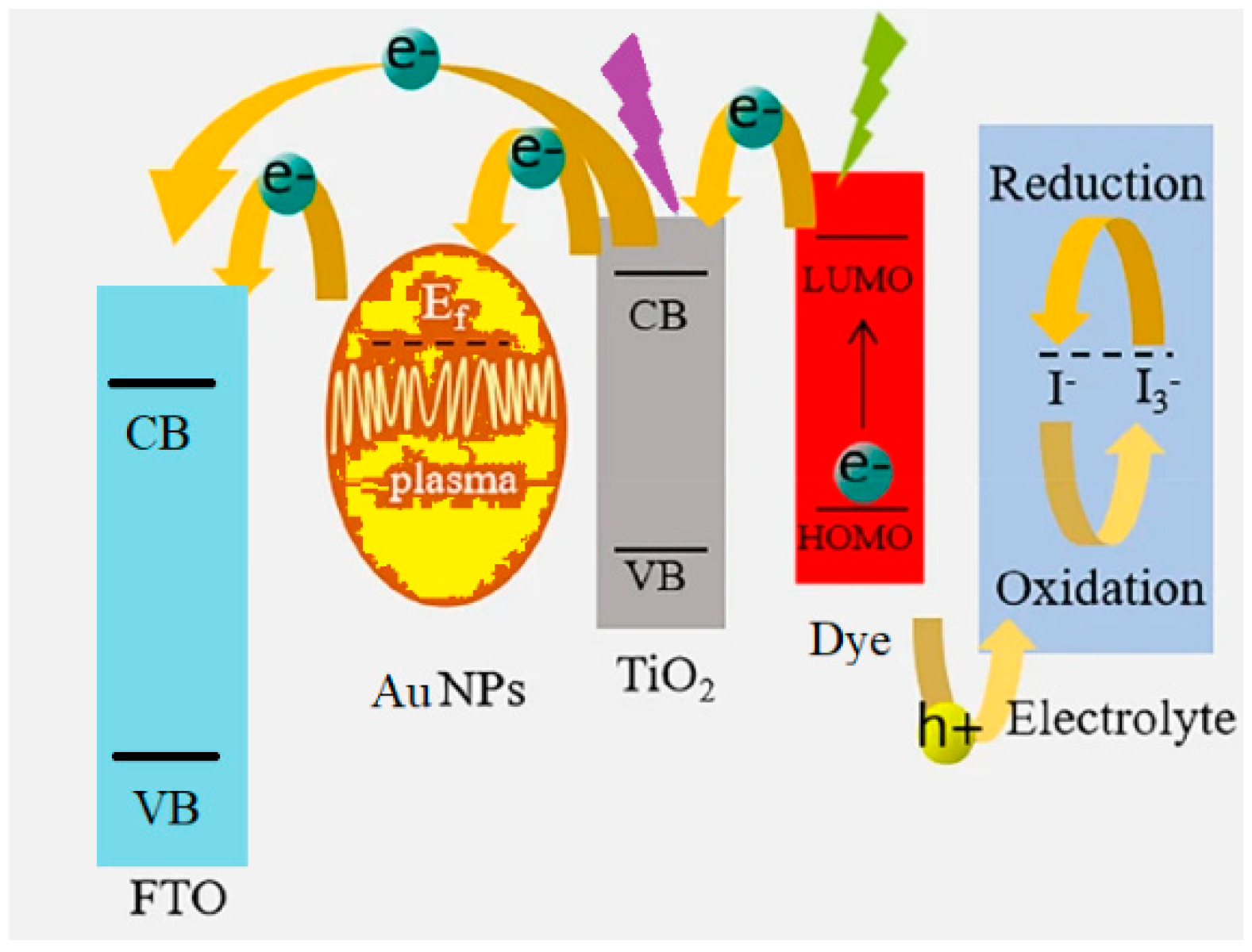Nanomaterials 12 00267 g001