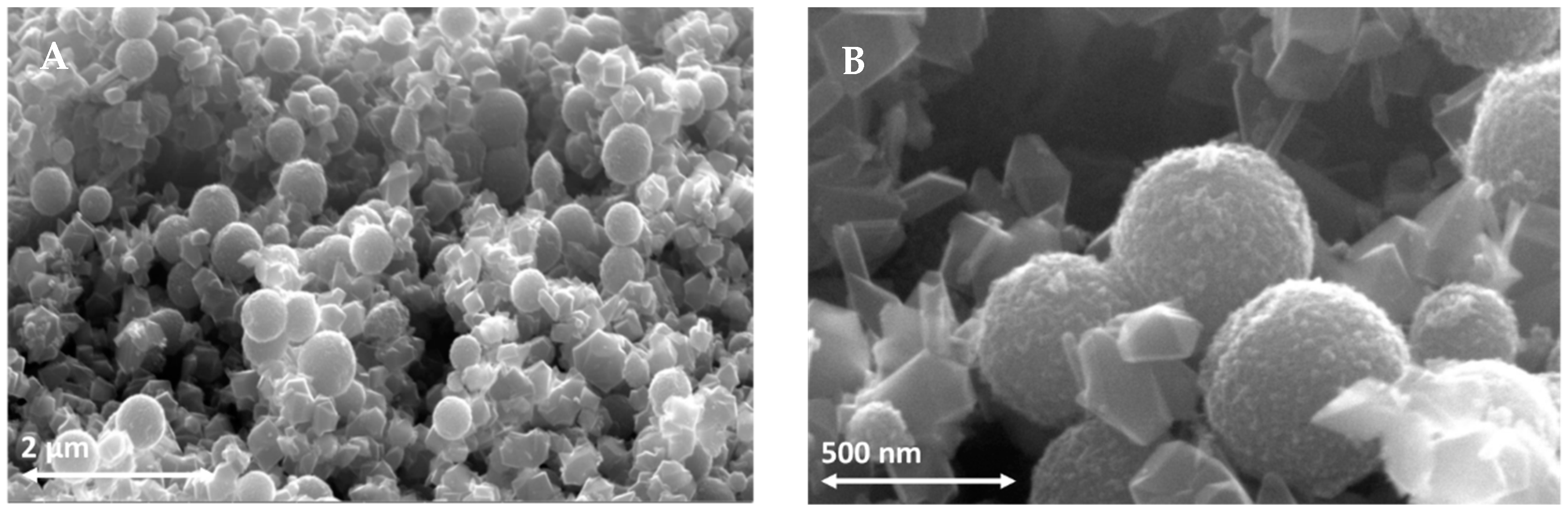 Nanomaterials 12 00267 g002
