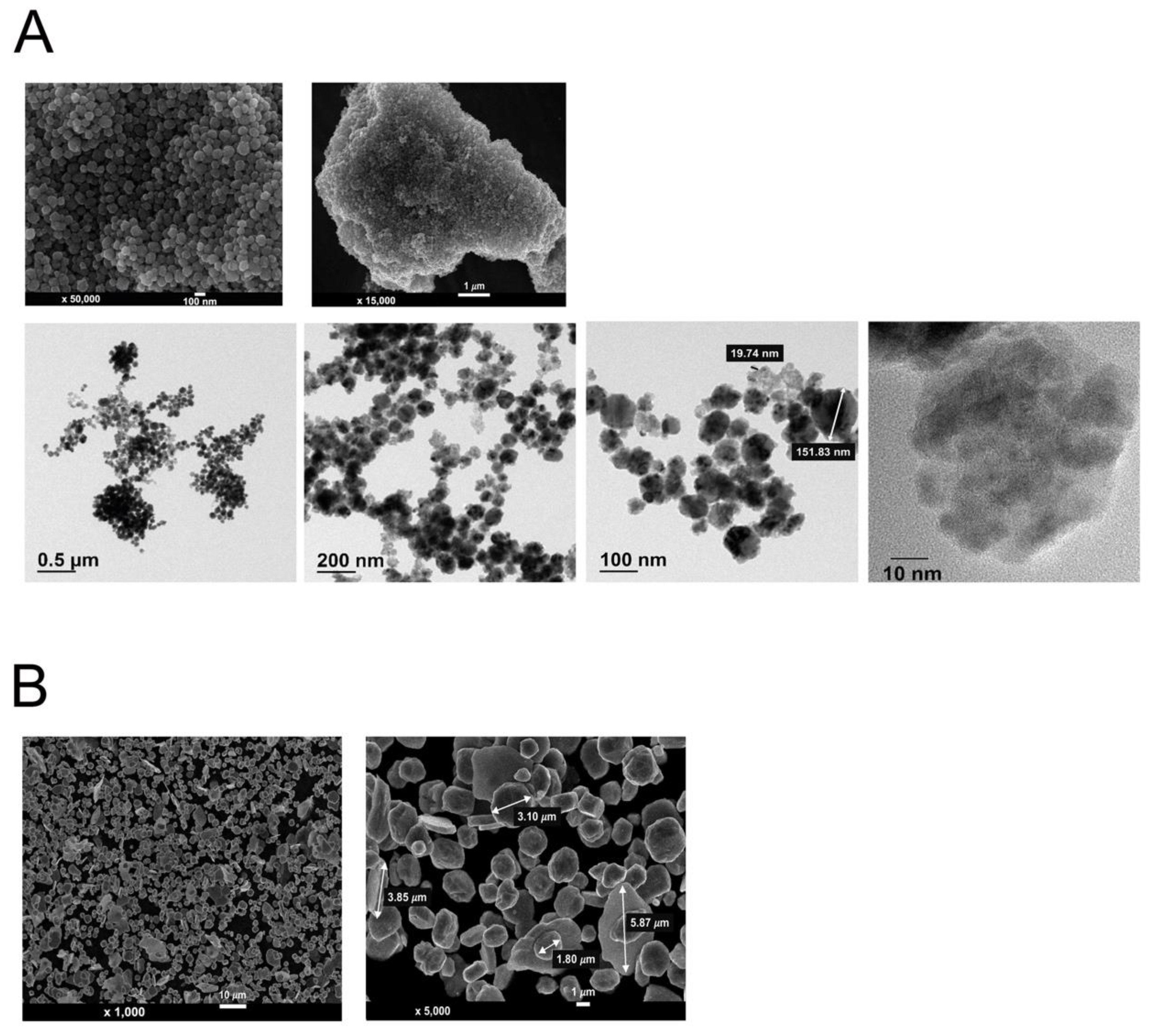 Nanomaterials 12 00268 g002