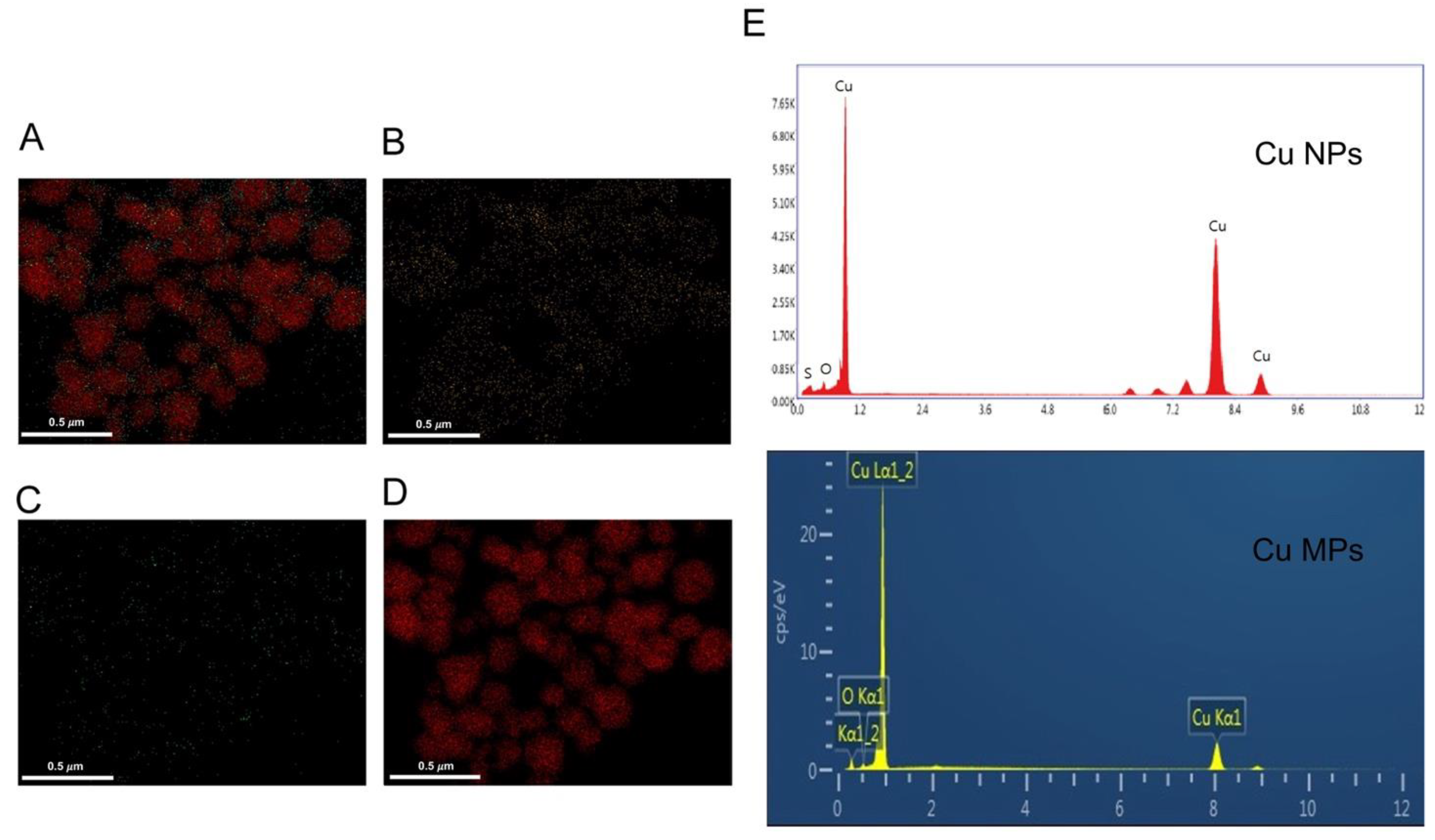 Nanomaterials 12 00268 g004