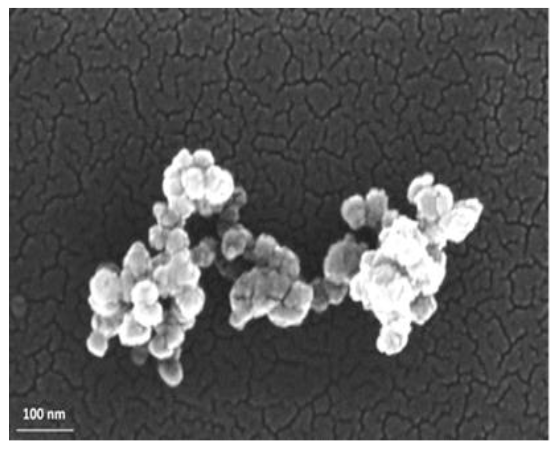 Nanomaterials 12 00269 g001