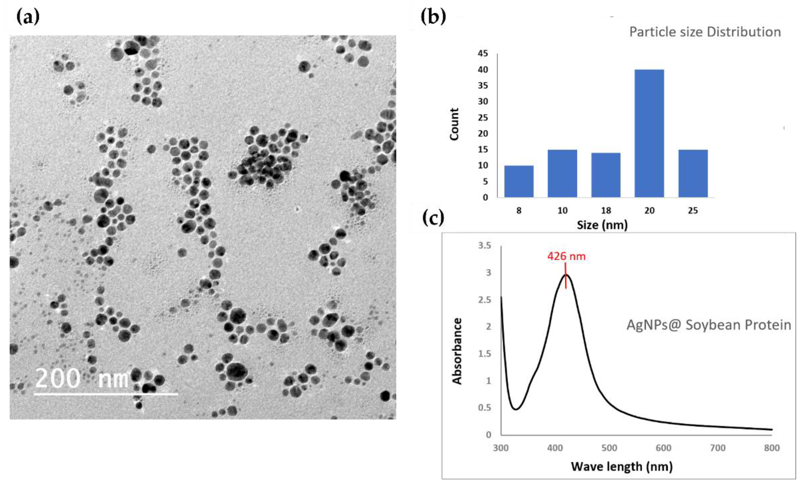 Nanomaterials 12 00283 g003 550