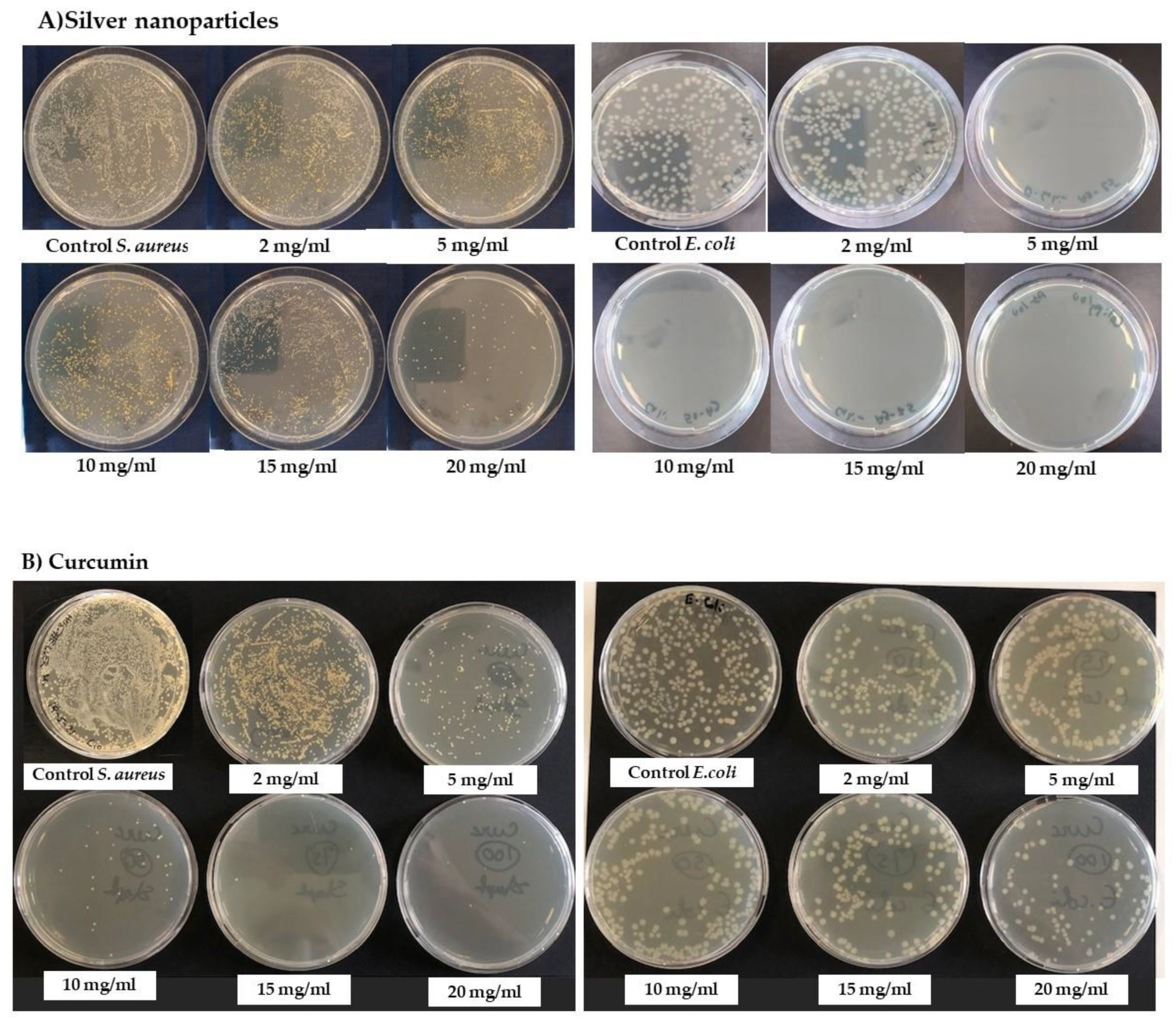 Nanomaterials 12 00283 g006 550