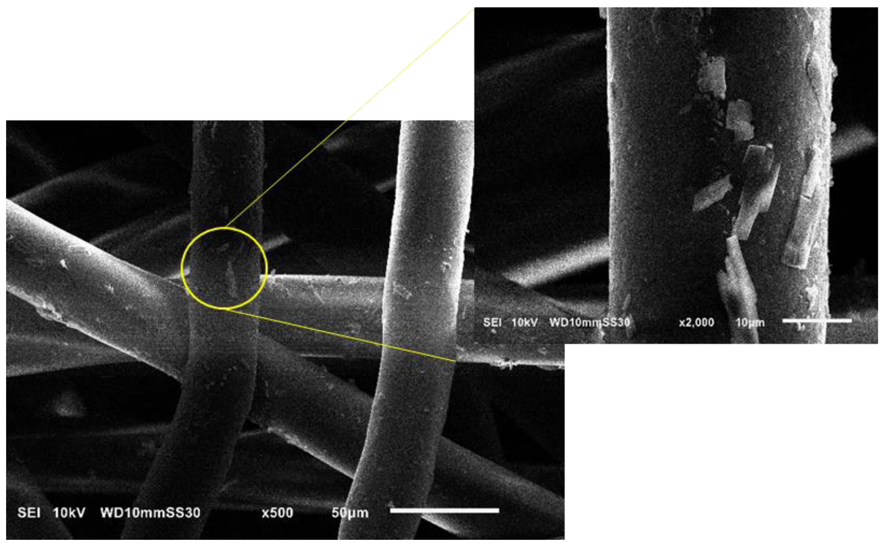 Nanomaterials 12 00283 g019 550