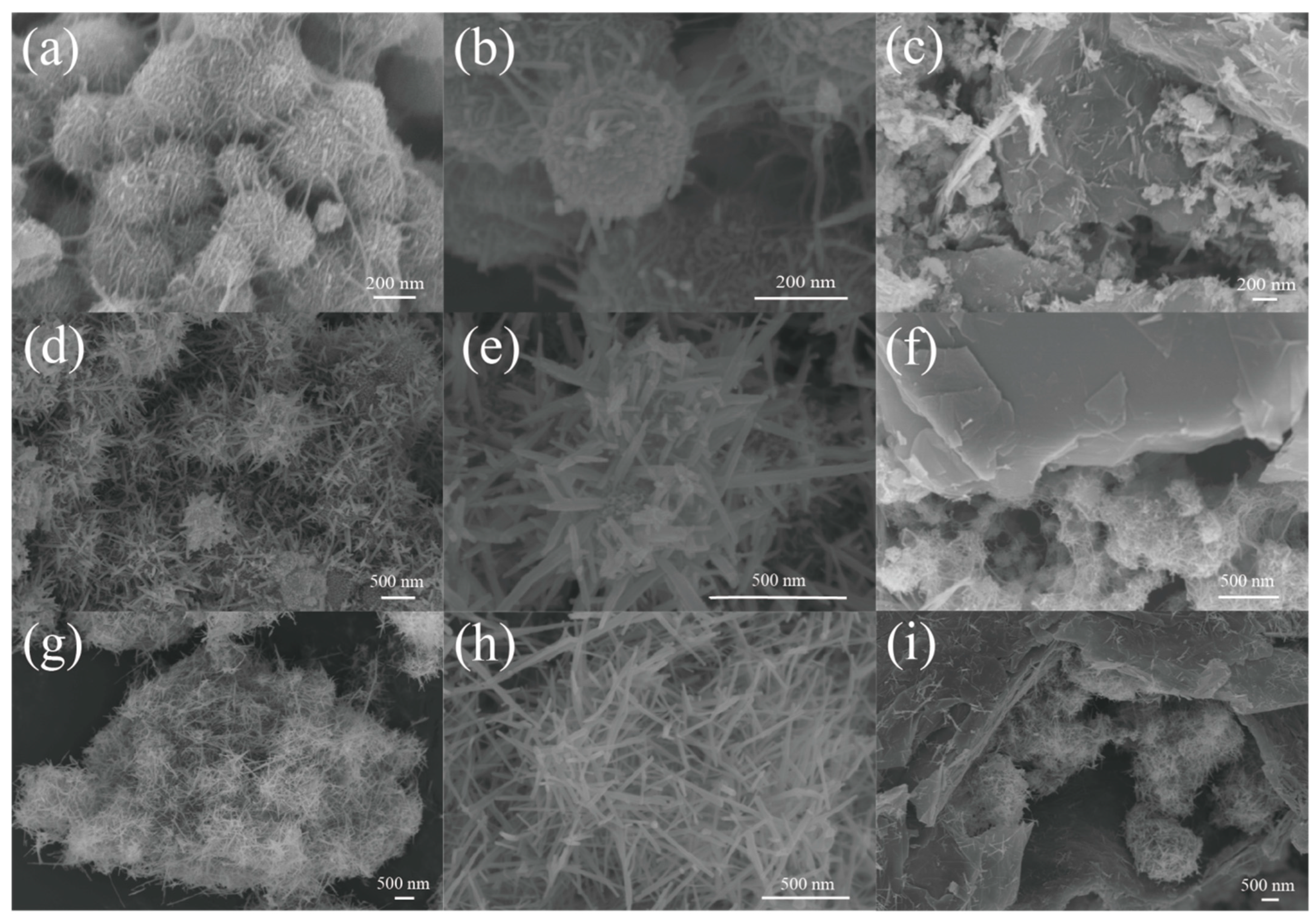 Nanomaterials 12 00285 g002