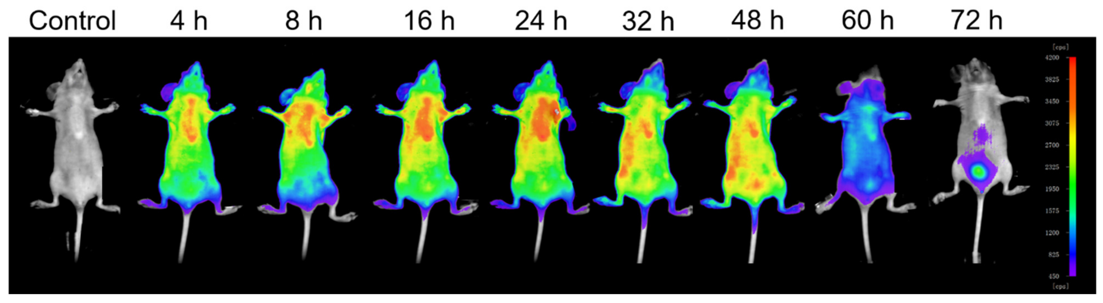Nanomaterials 12 00287 g006