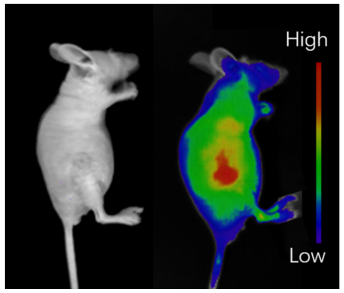 Nanomaterials 12 00287 g007