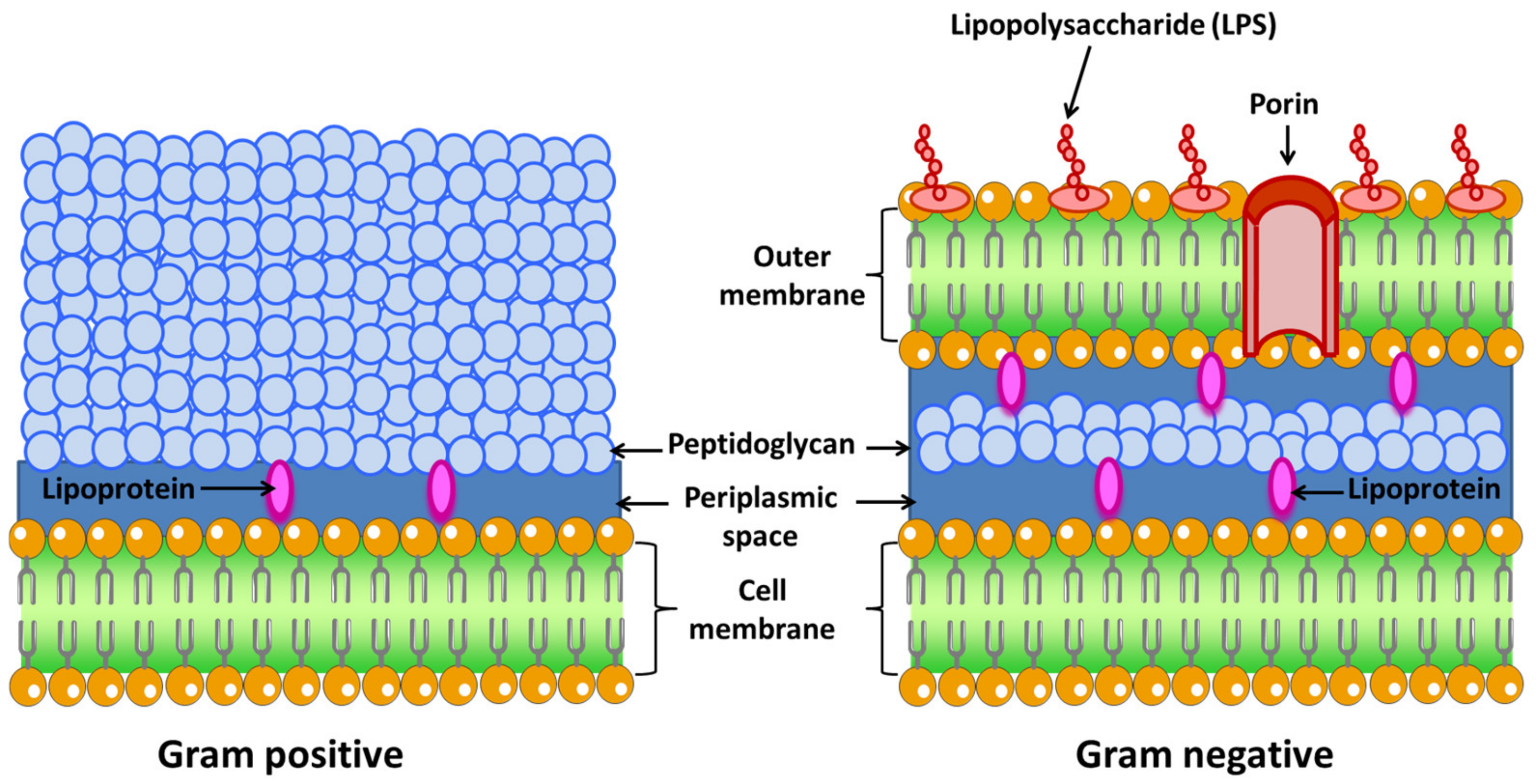 Nanomaterials 12 00288 g002 550