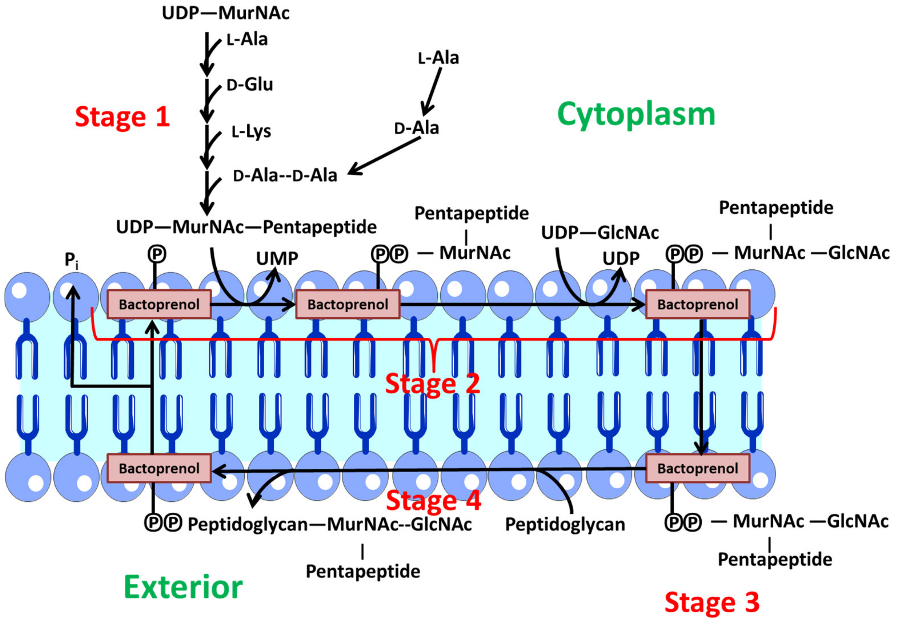 Nanomaterials 12 00288 g003 550