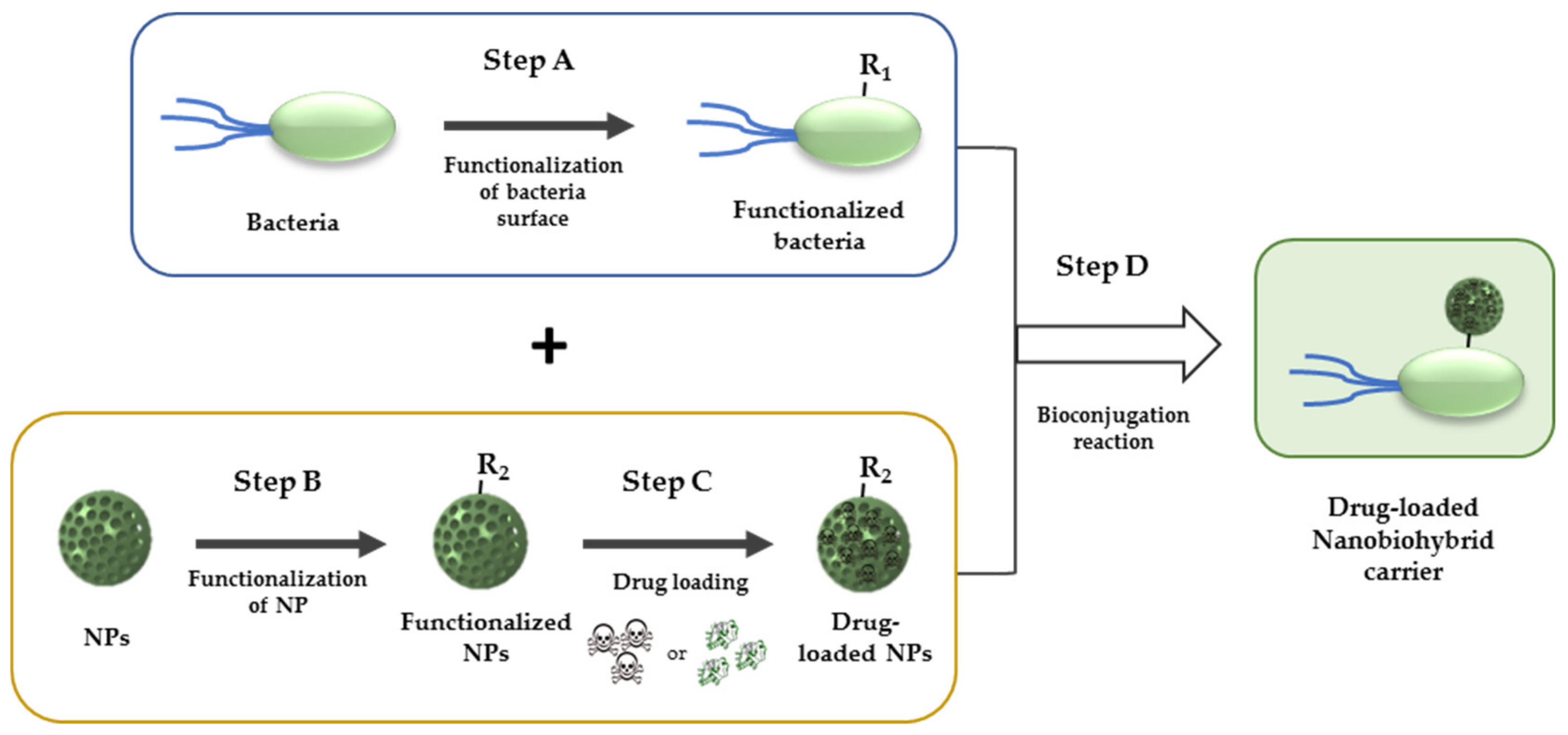 Nanomaterials 12 00288 g005 550