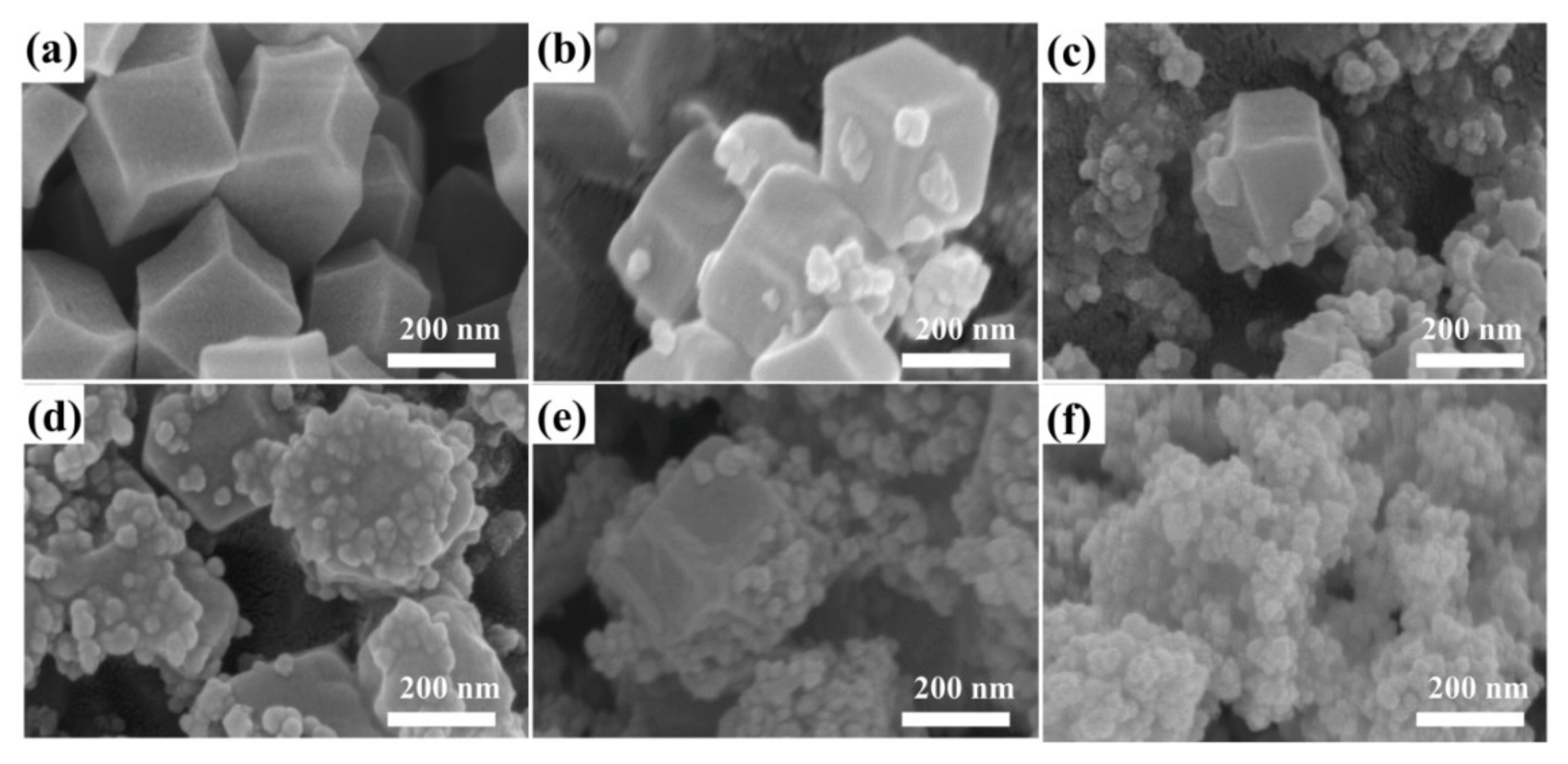 Nanomaterials 12 00291 g002