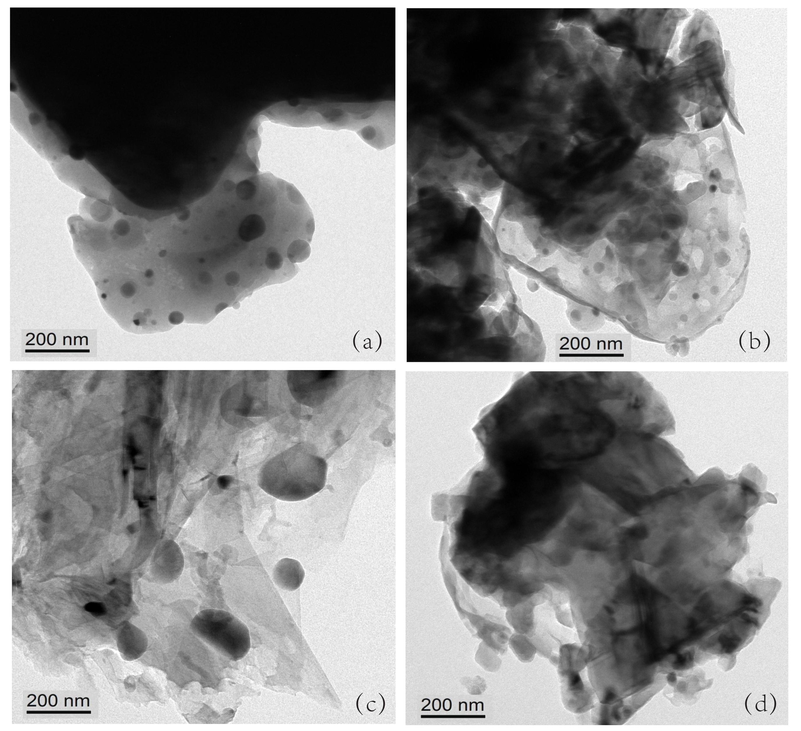 Nanomaterials 12 00293 g003 550