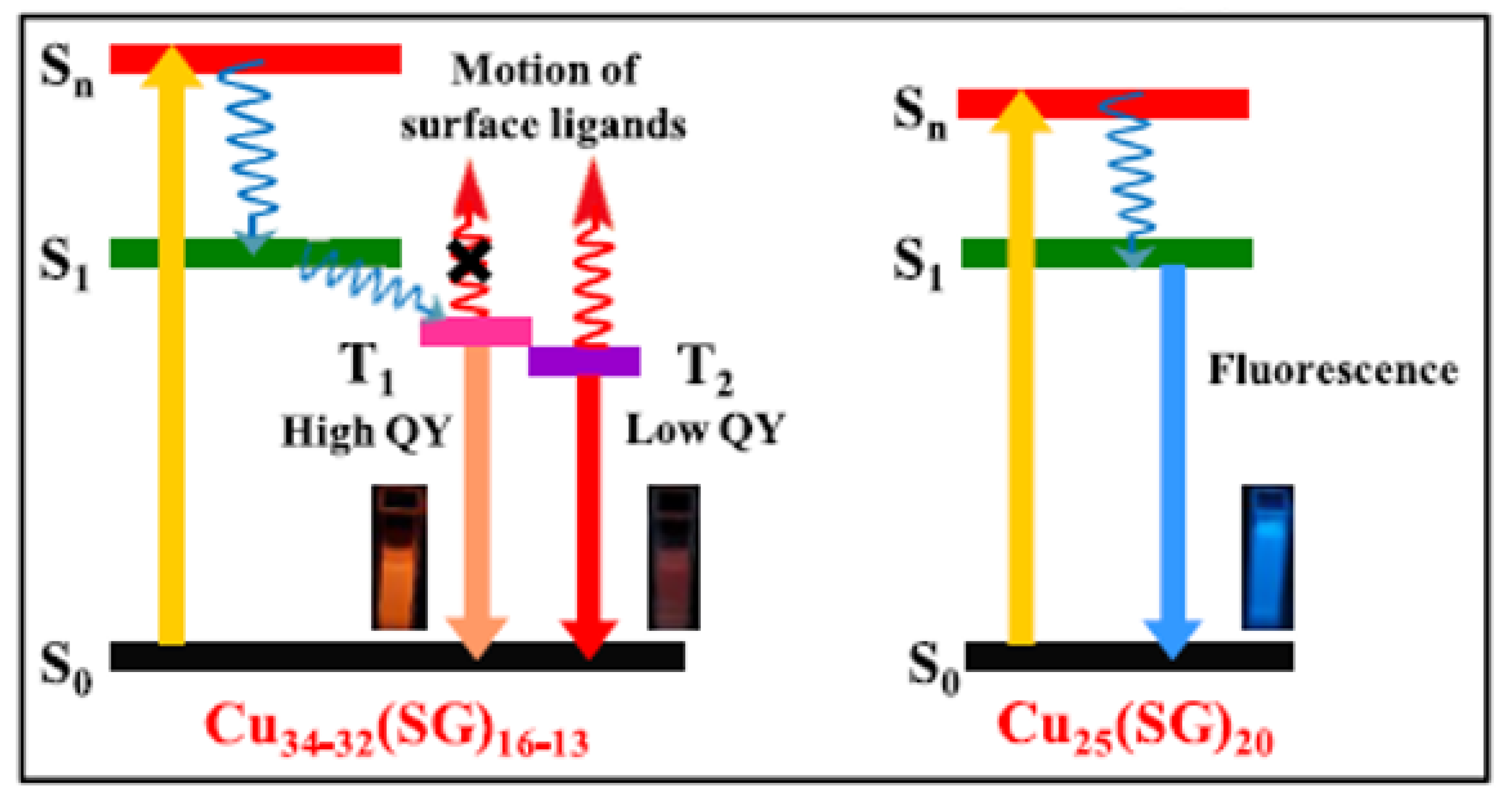 Nanomaterials 12 00301 g002 550