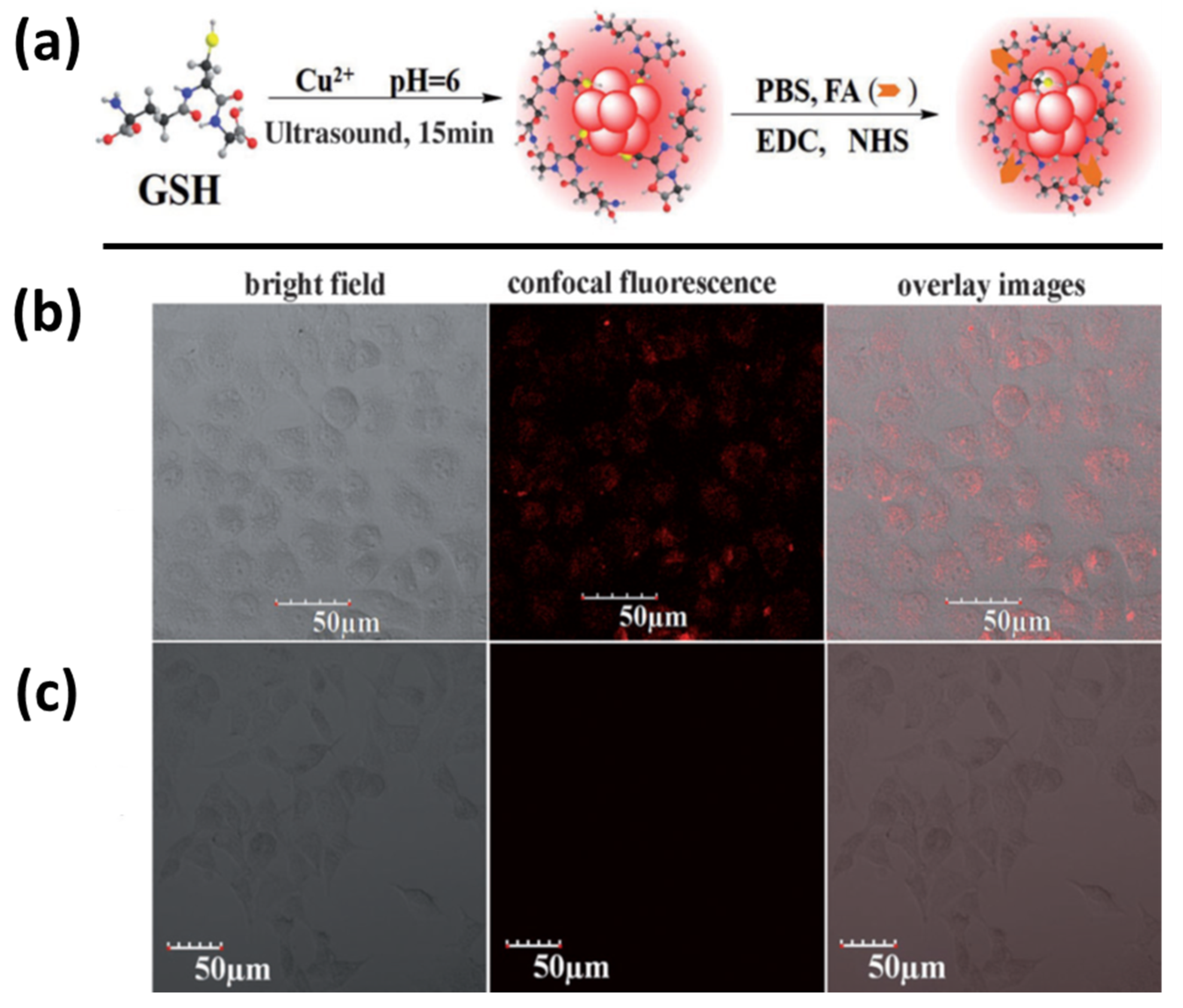 Nanomaterials 12 00301 g005 550