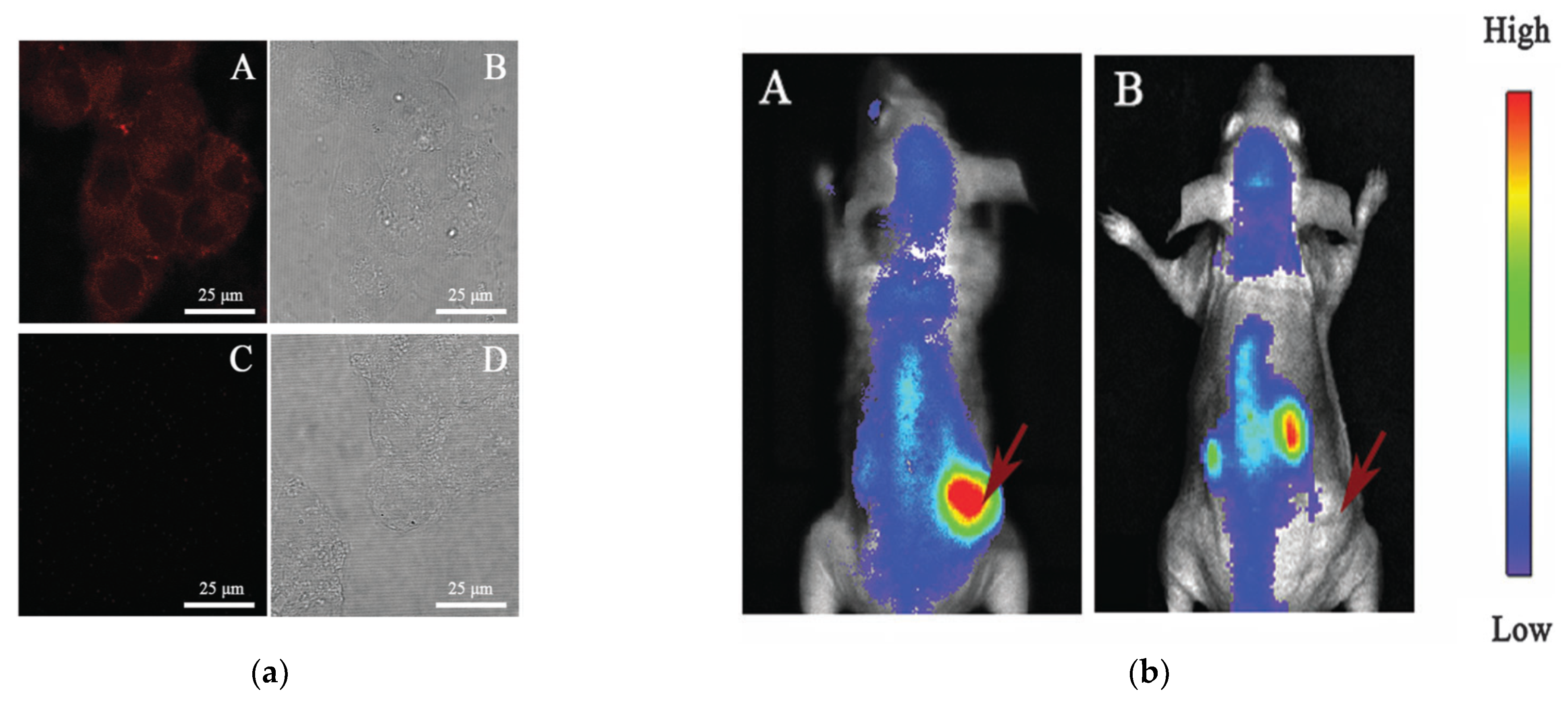 Nanomaterials 12 00301 g008 550