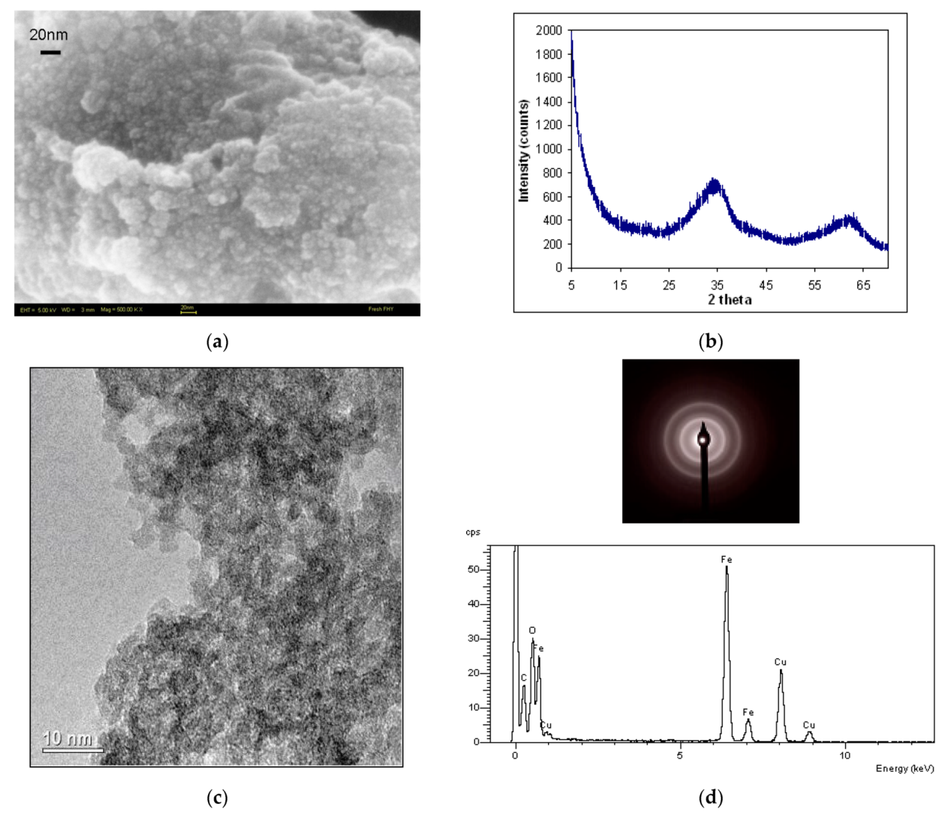 Nanomaterials 12 00304 g001