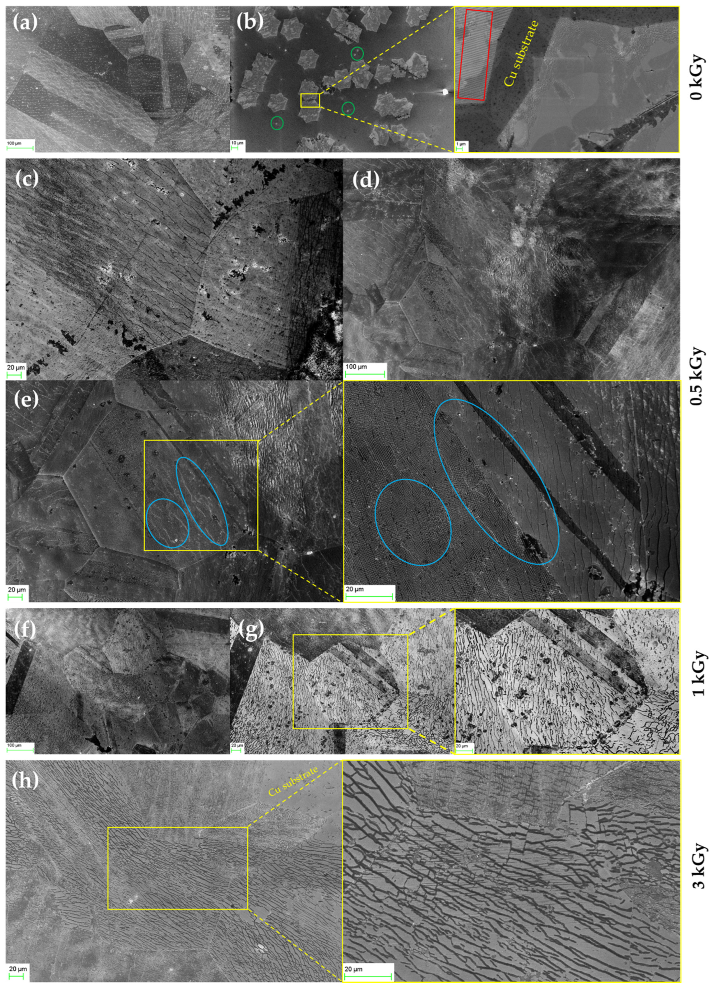 Nanomaterials 12 00305 g004 550