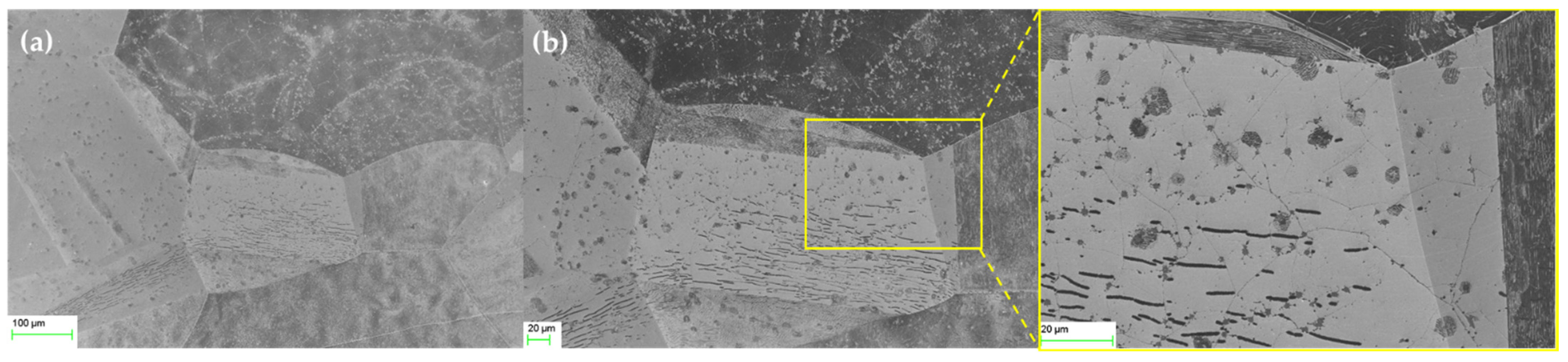 Nanomaterials 12 00305 g005 550