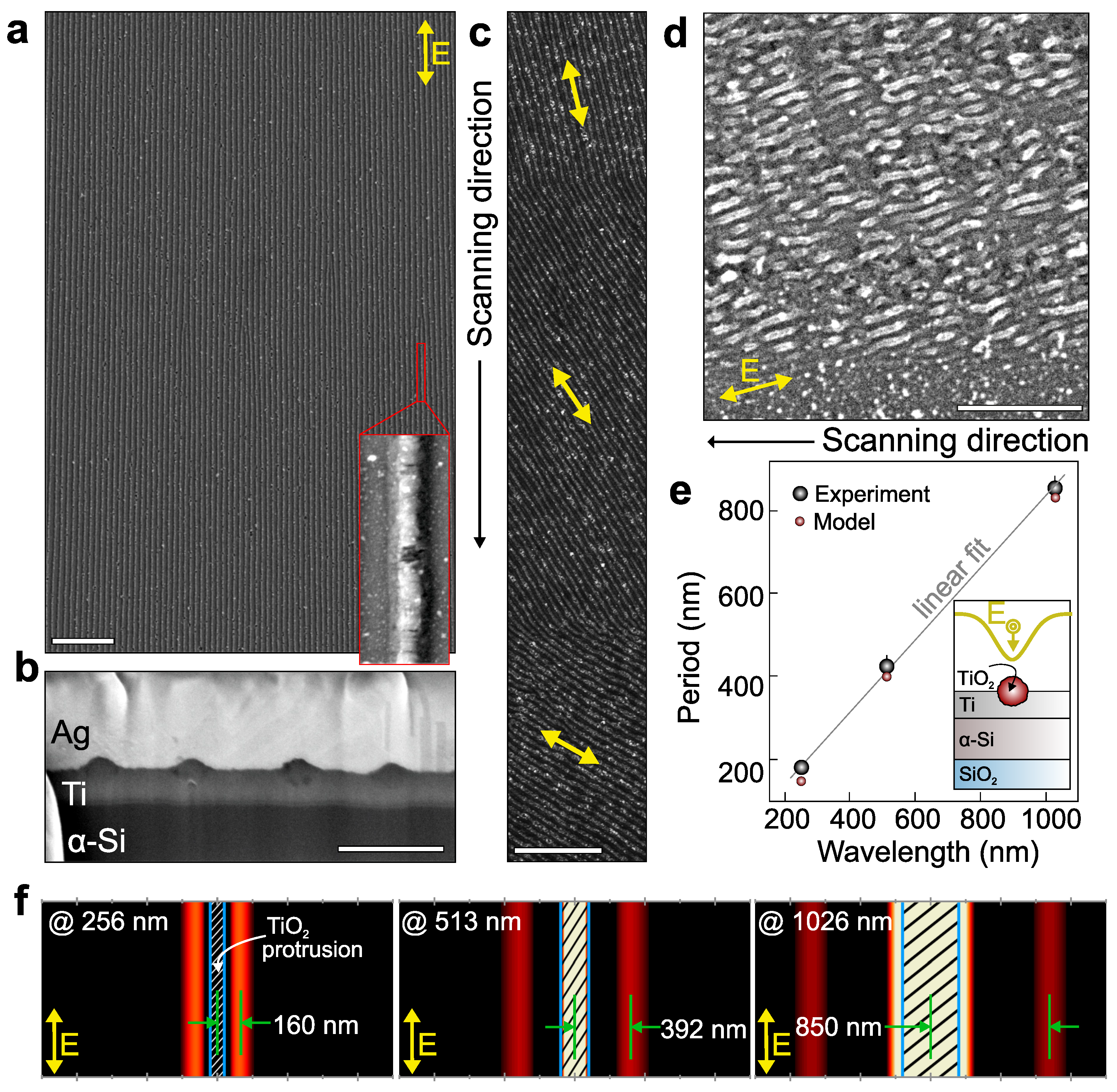 Nanomaterials 12 00306 g003