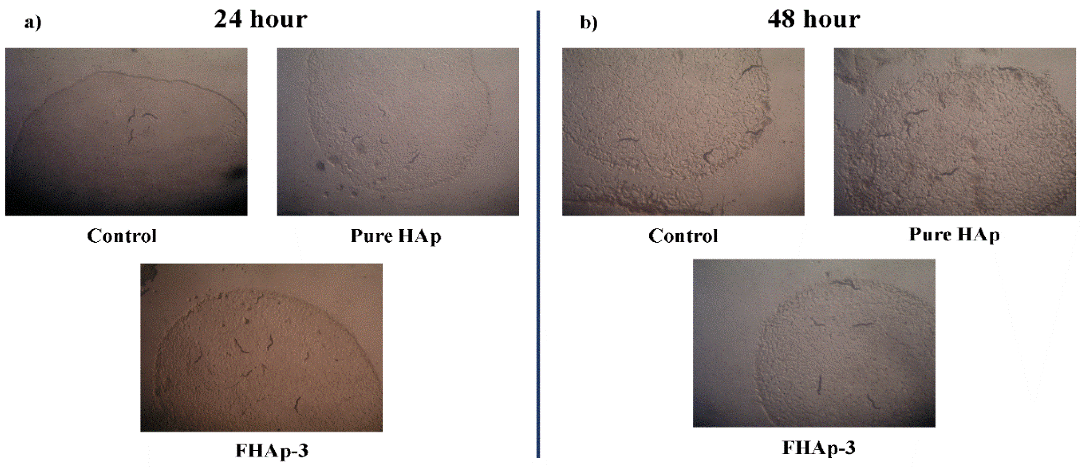 Nanomaterials 12 00315 g010 550