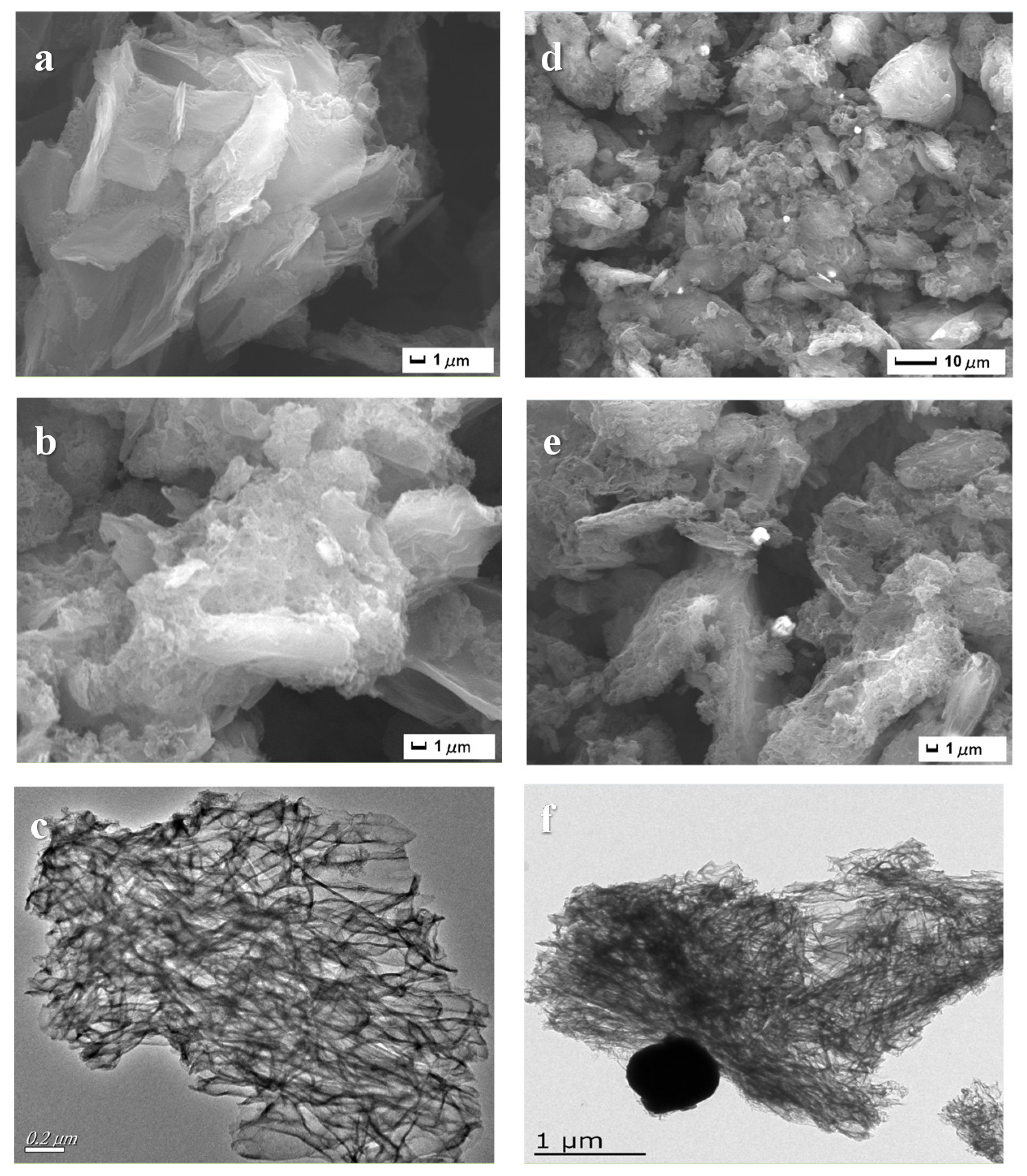 Nanomaterials 12 00318 g003