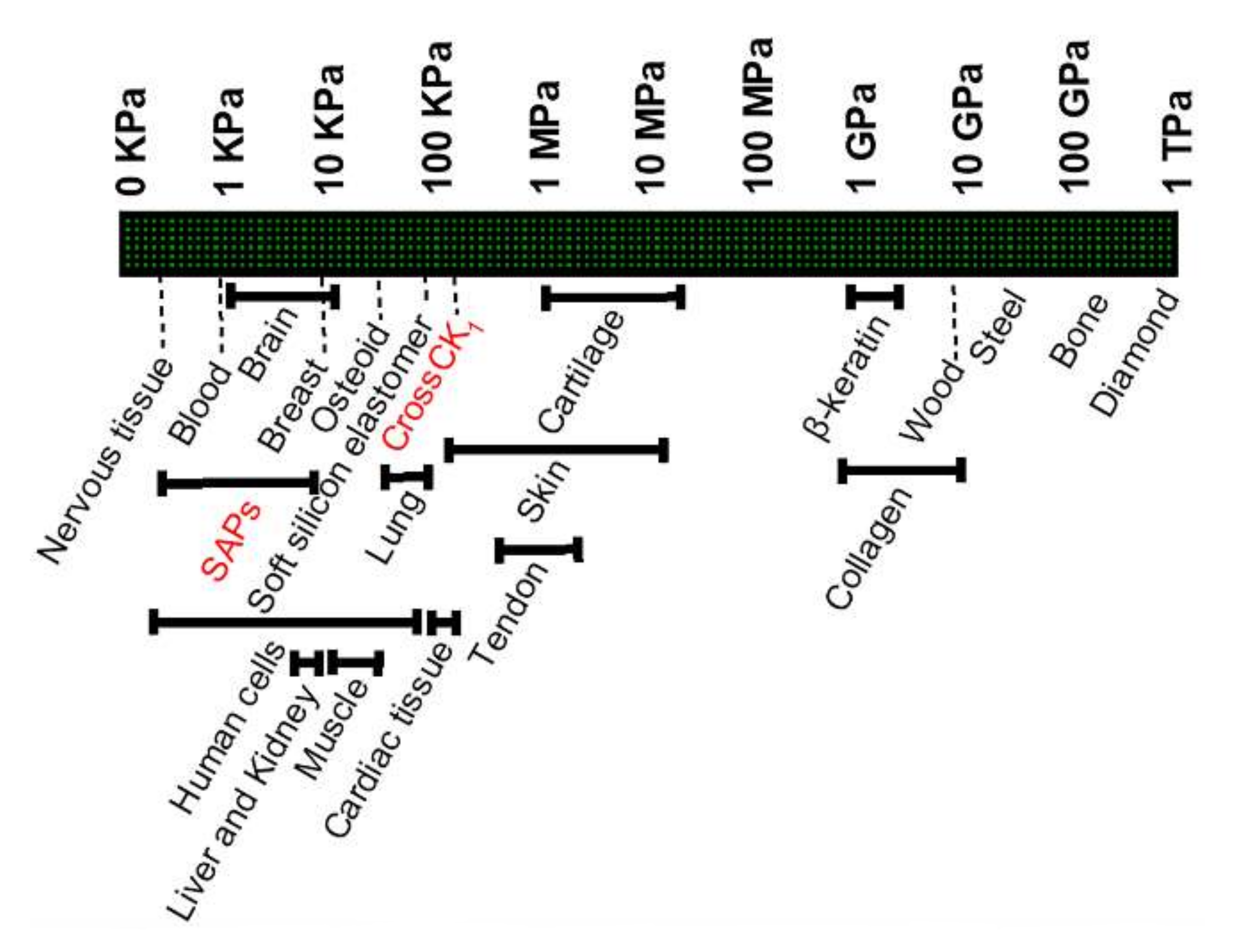 Nanomaterials 12 00320 g001 550