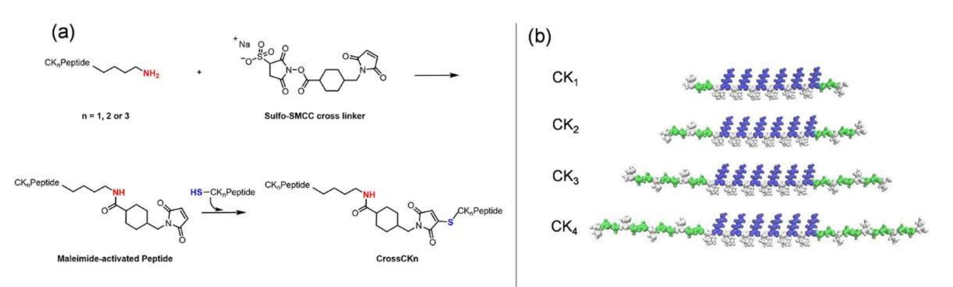 Nanomaterials 12 00320 g002 550