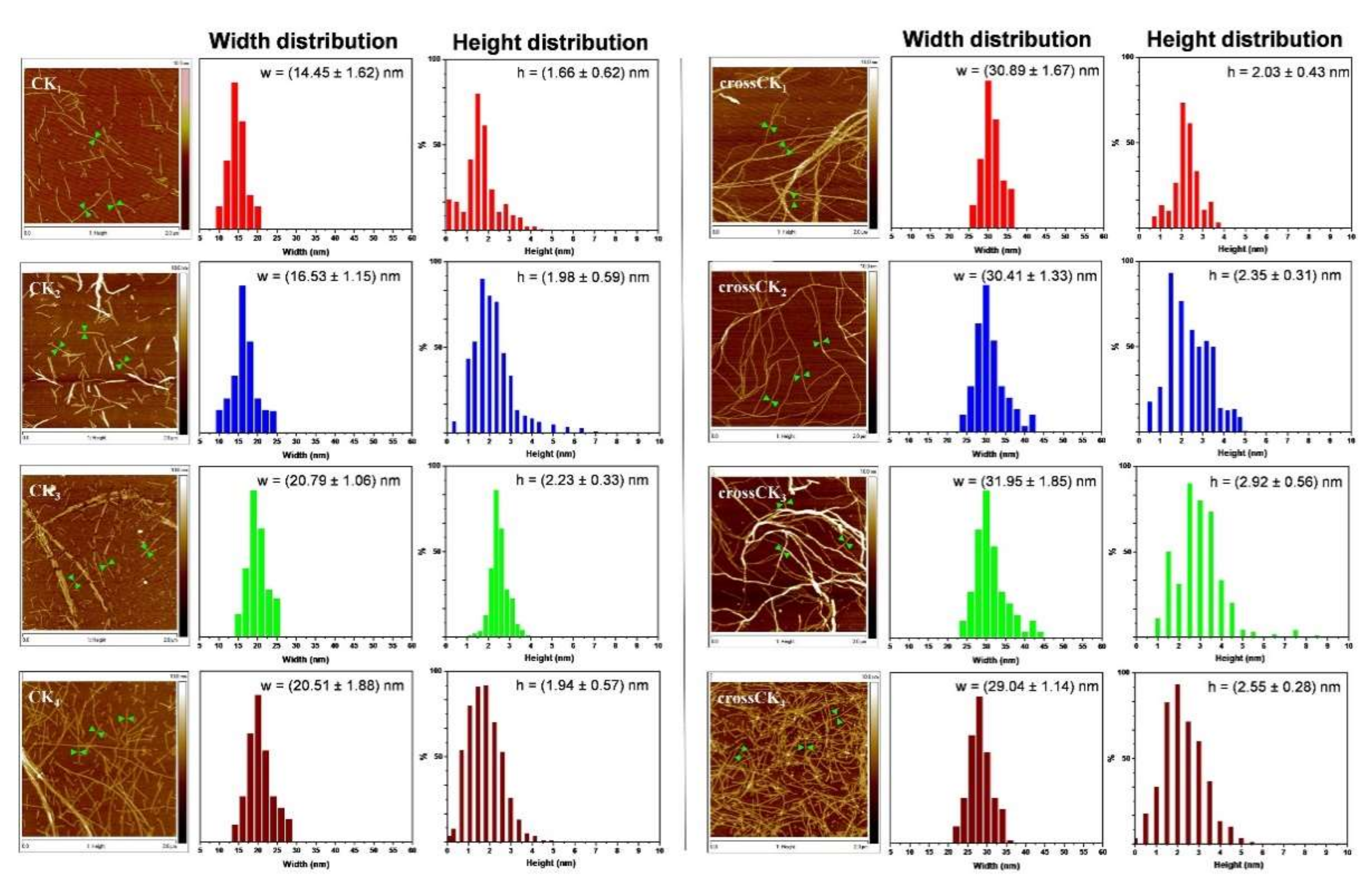Nanomaterials 12 00320 g006 550