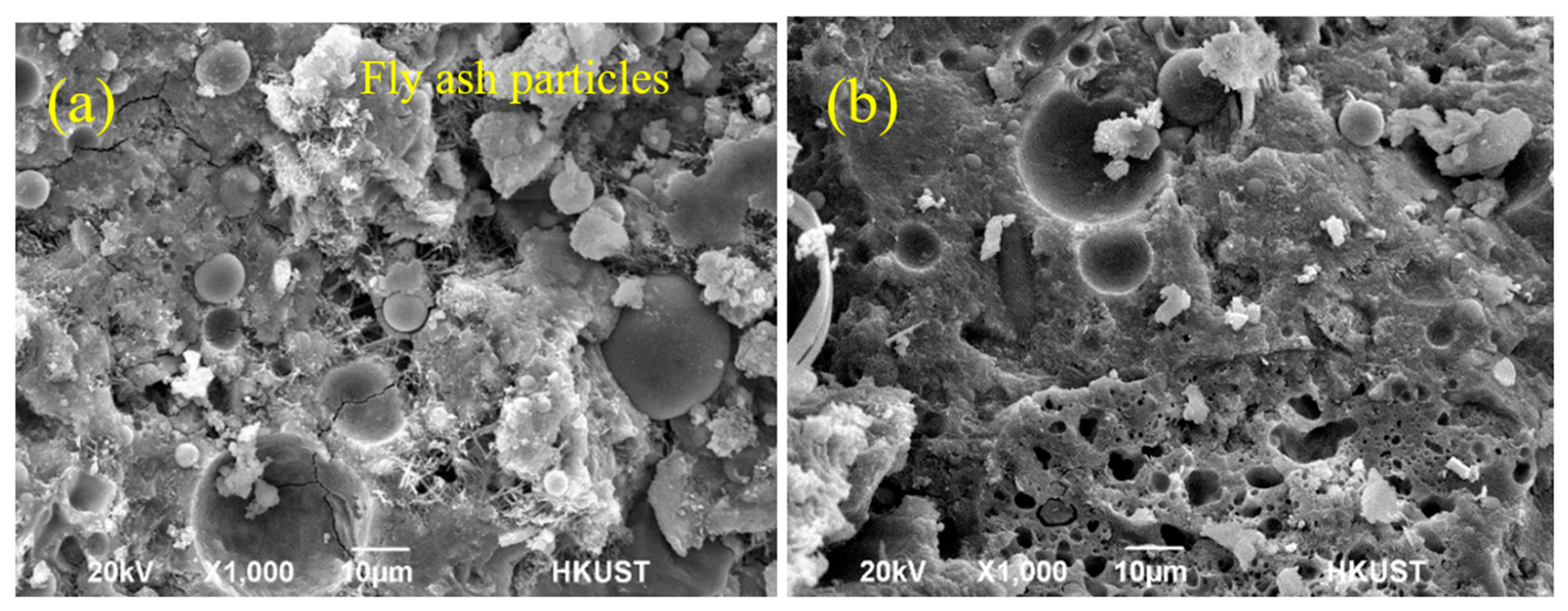 Nanomaterials 12 00323 g006