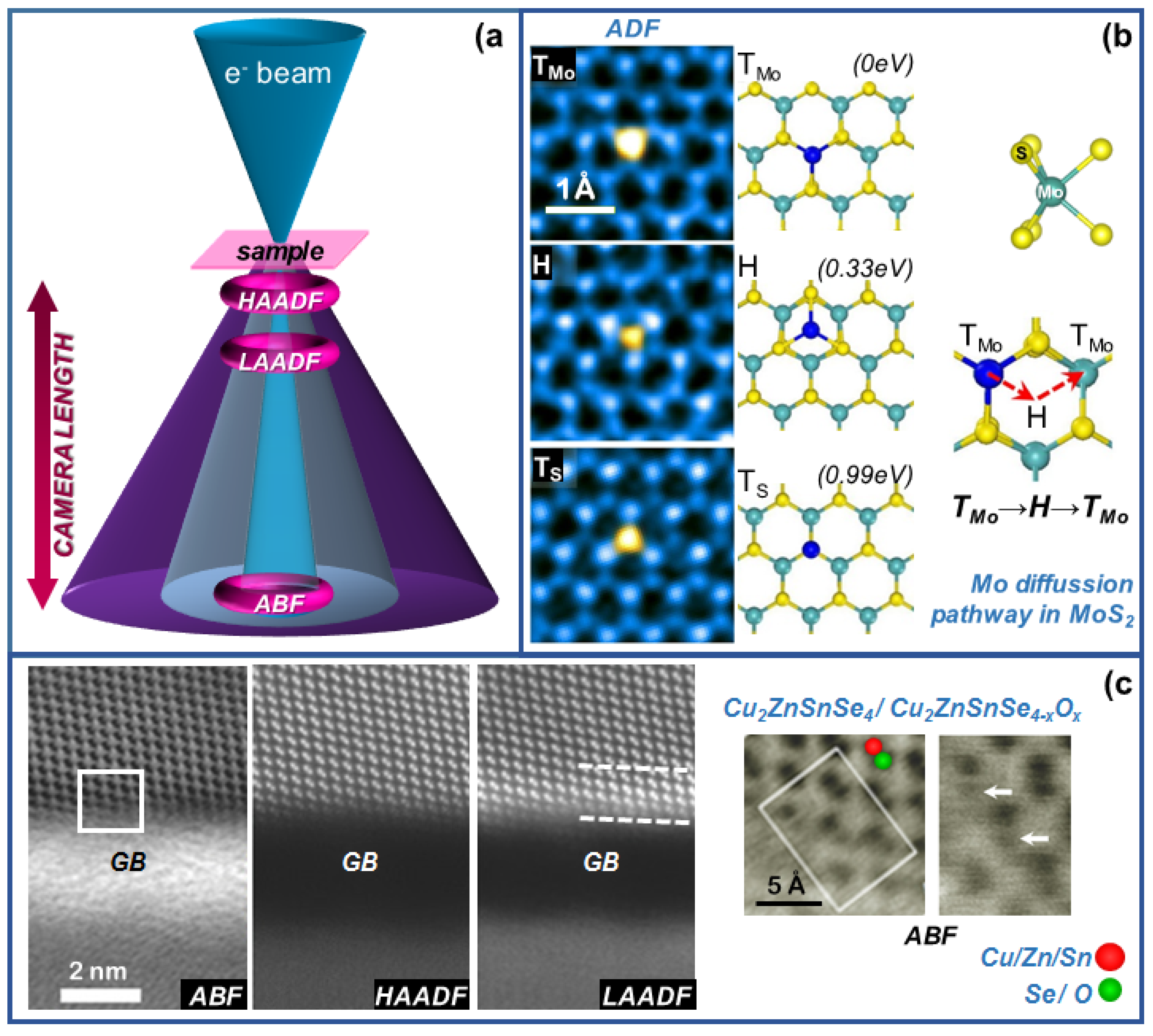 Nanomaterials 12 00337 g002