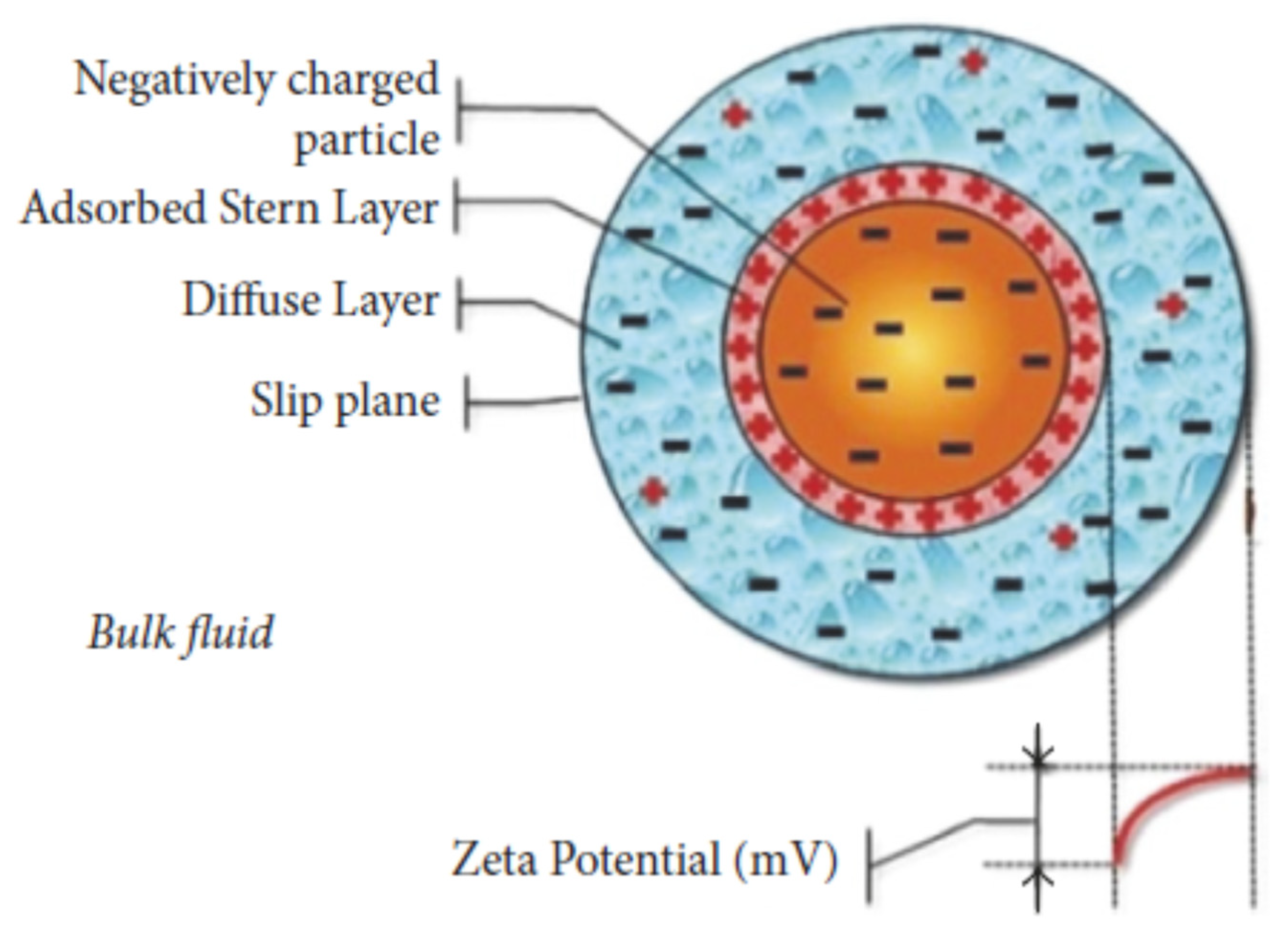 Nanomaterials 12 00338 g048