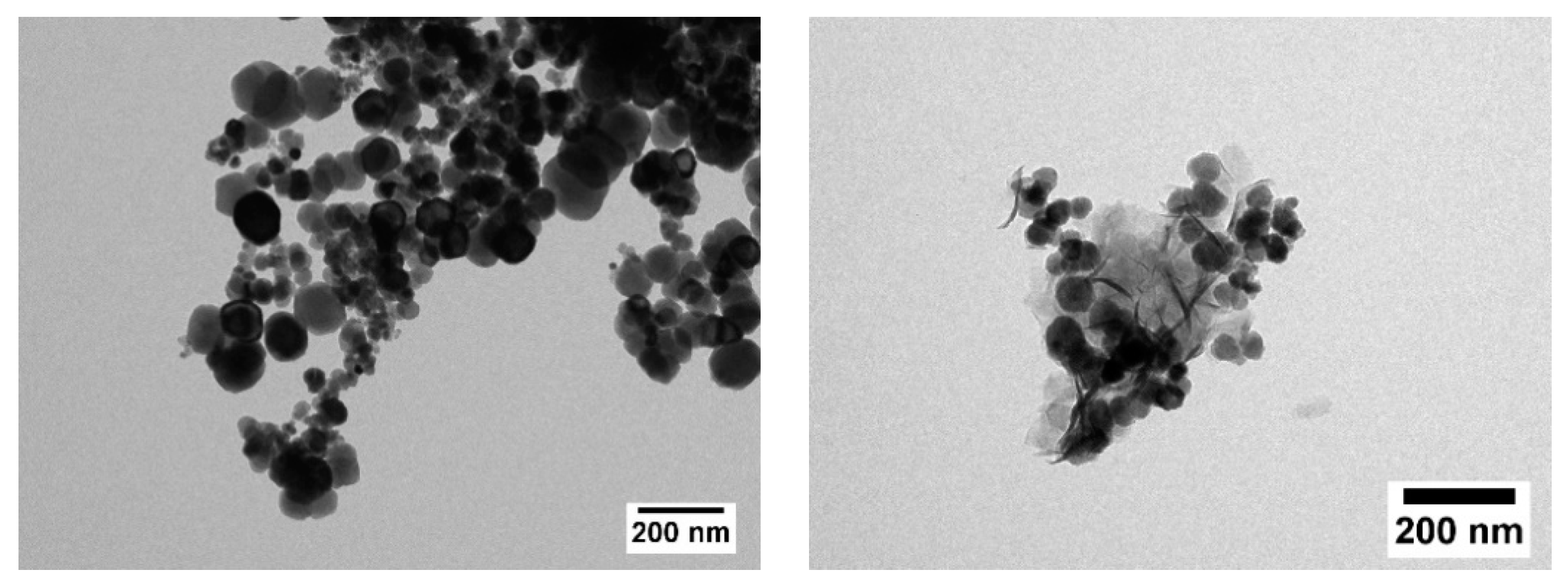 Nanomaterials 12 00343 g003 550
