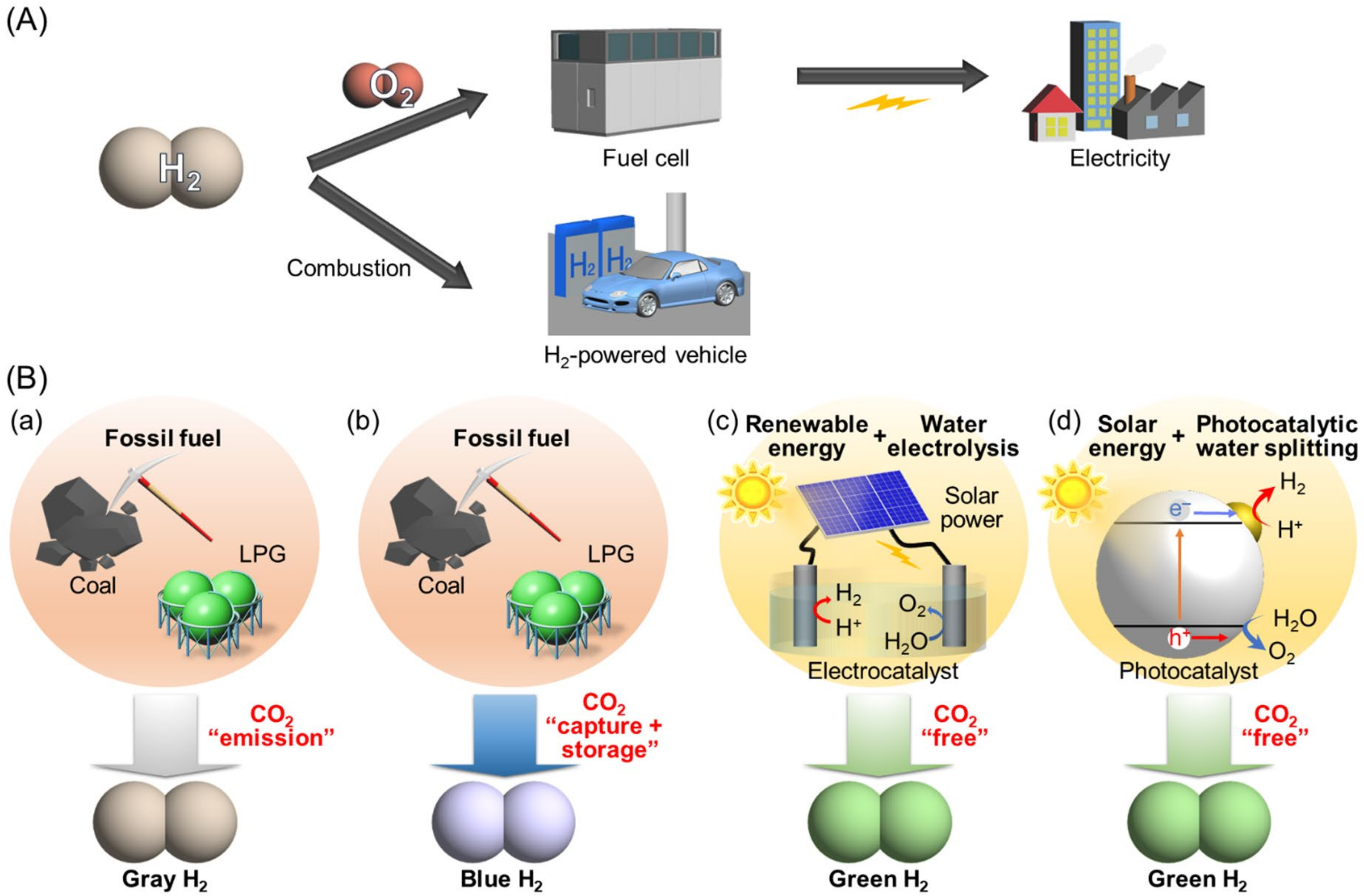 Nanomaterials 12 00344 g001