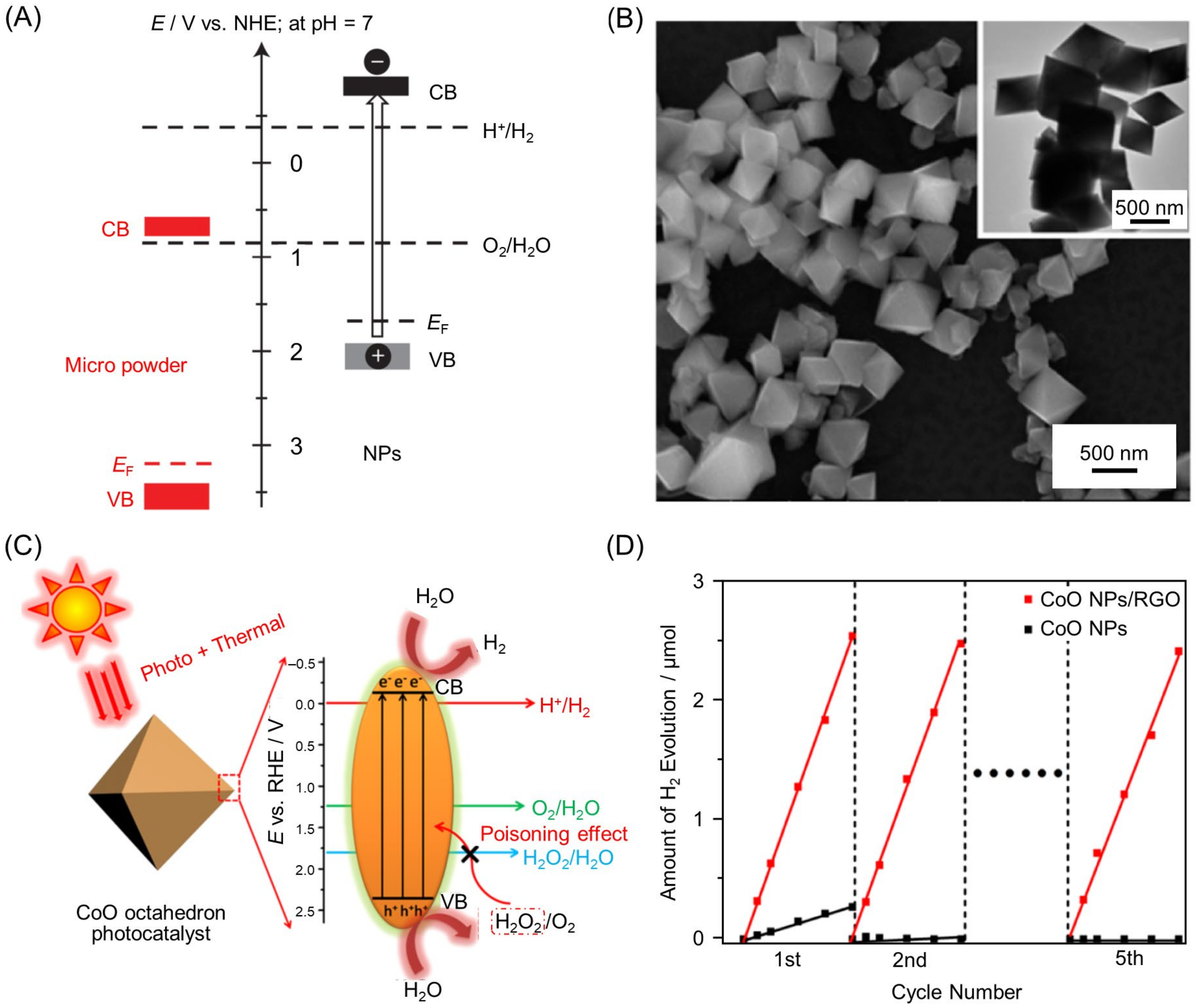 Nanomaterials 12 00344 g011