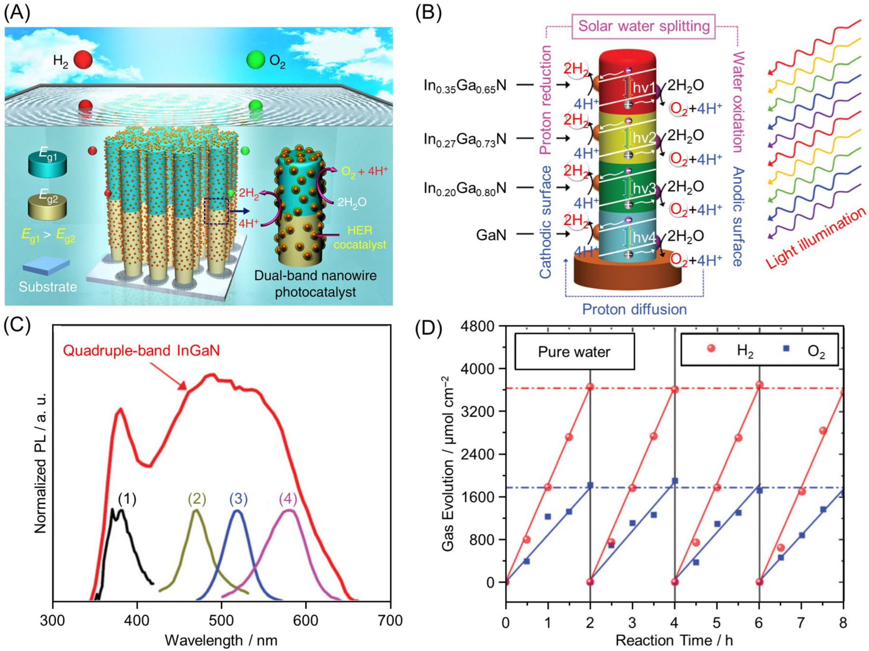 Nanomaterials 12 00344 g012
