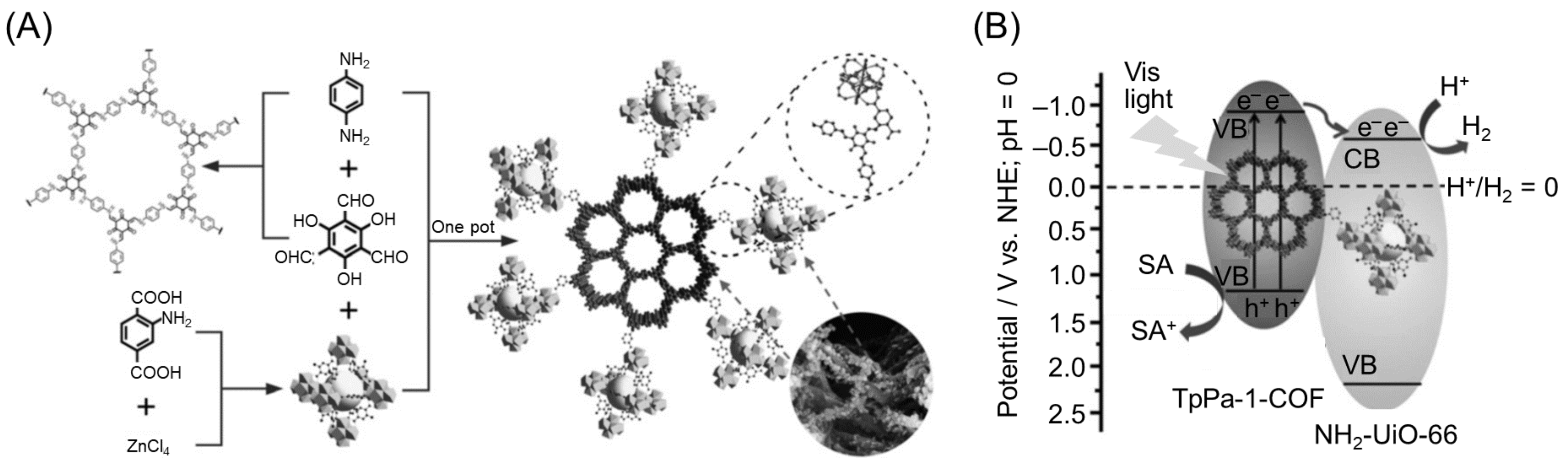 Nanomaterials 12 00344 g014