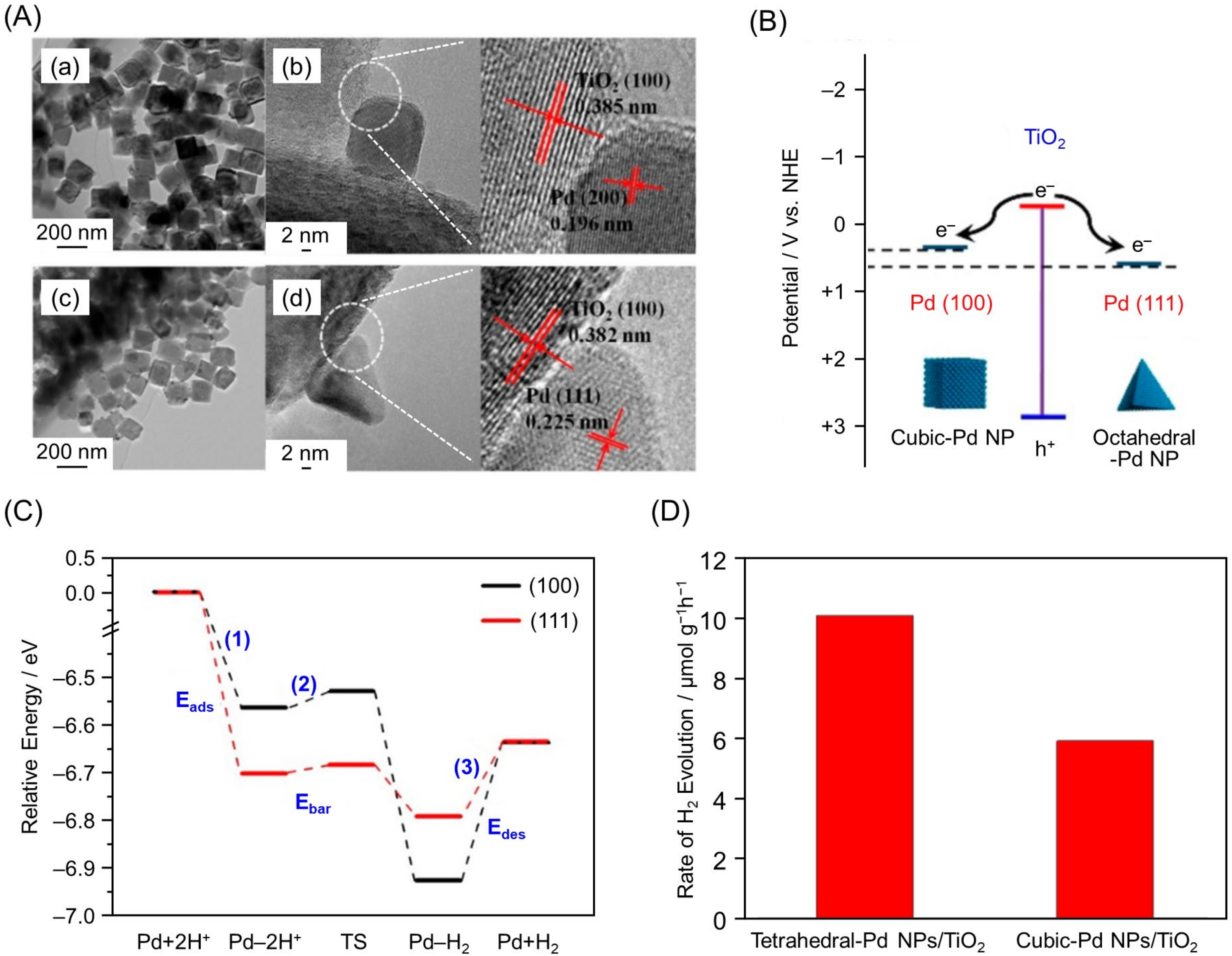 Nanomaterials 12 00344 g024