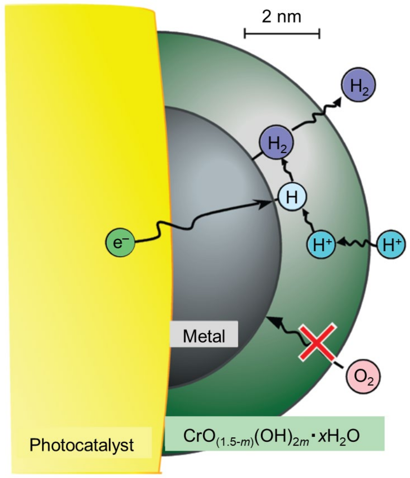 Nanomaterials 12 00344 g029