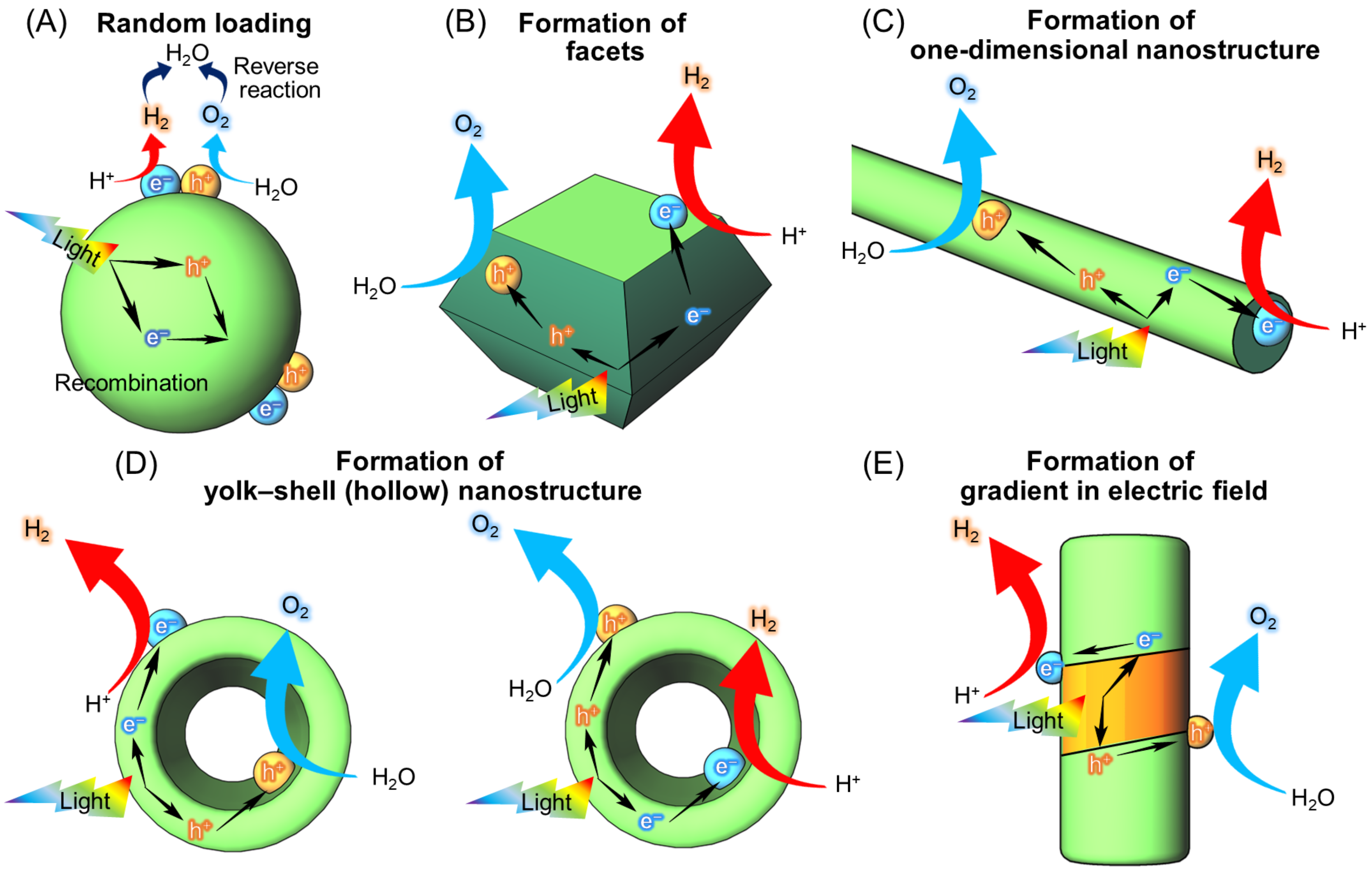 Nanomaterials 12 00344 g033