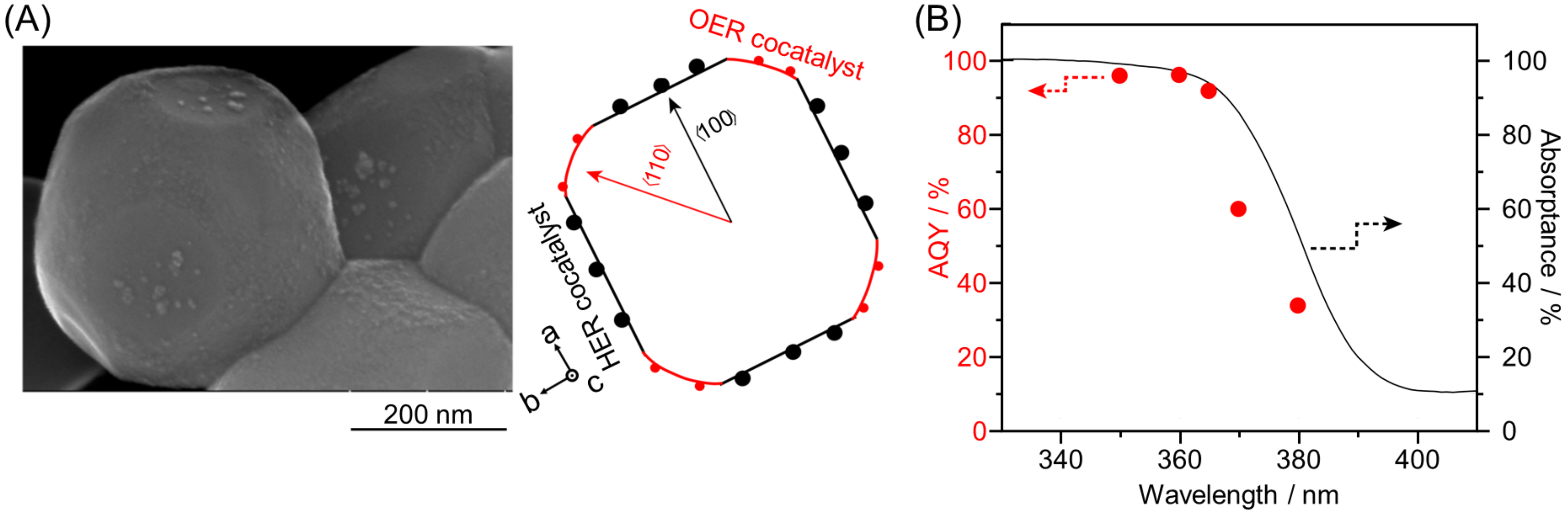 Nanomaterials 12 00344 g035