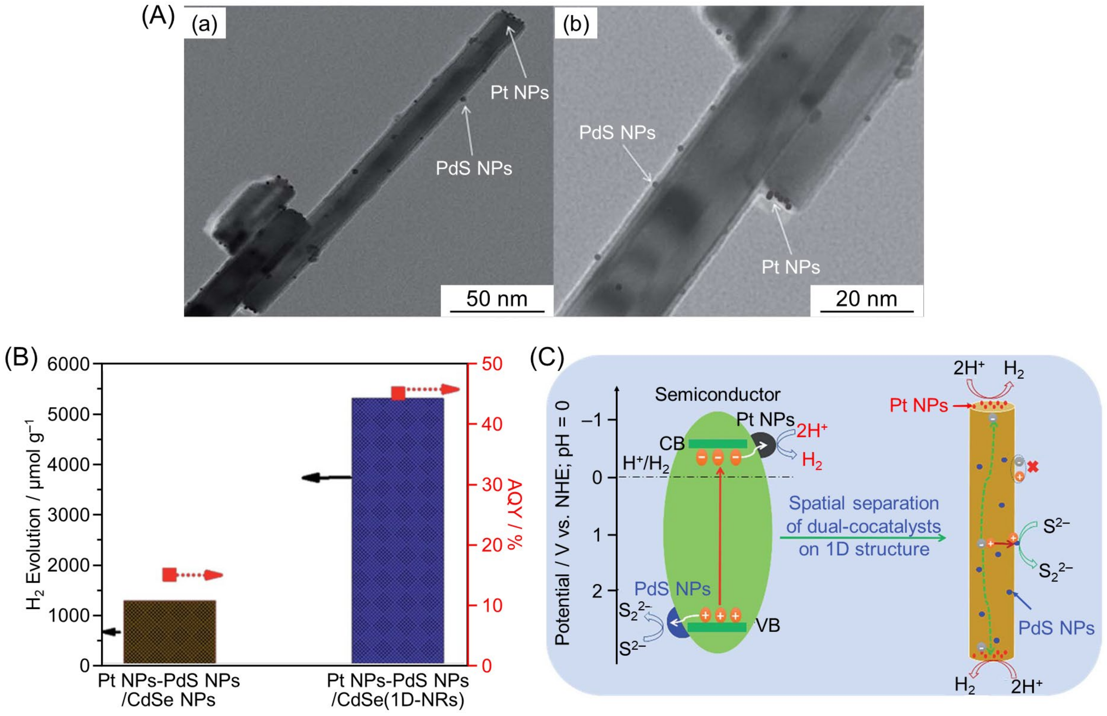 Nanomaterials 12 00344 g036