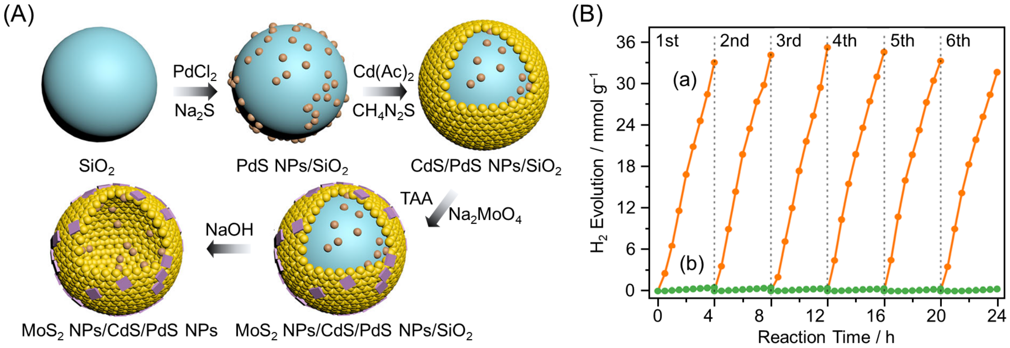 Nanomaterials 12 00344 g040