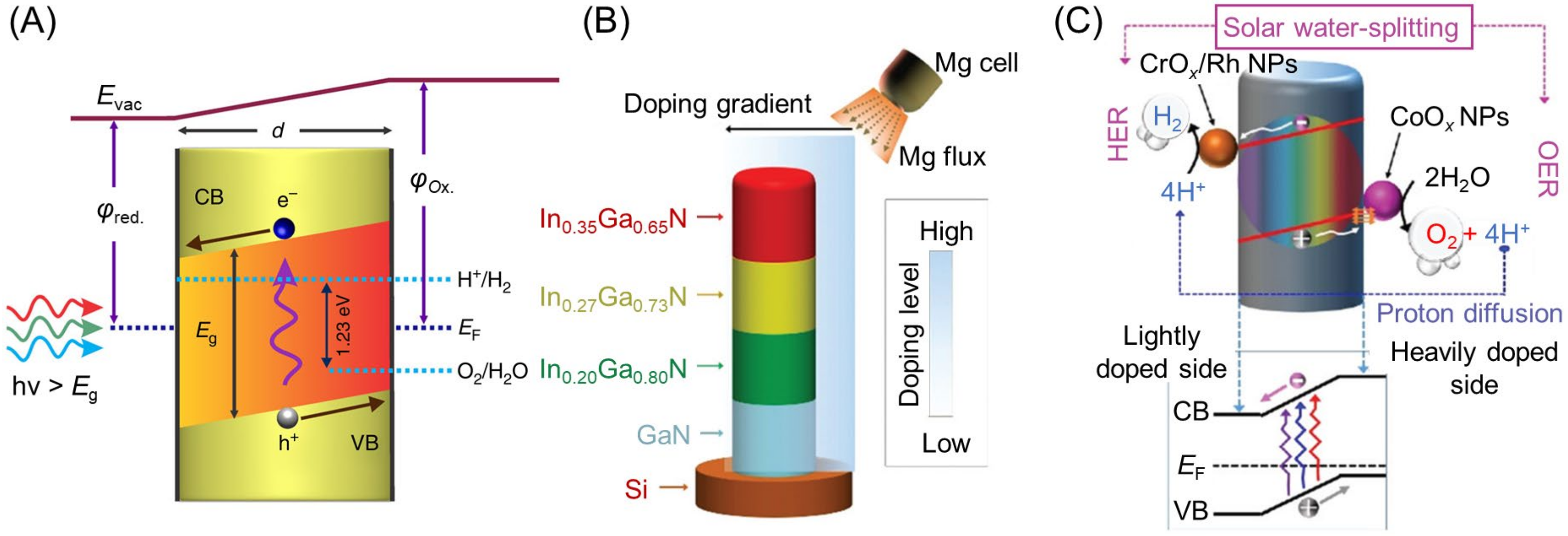 Nanomaterials 12 00344 g041